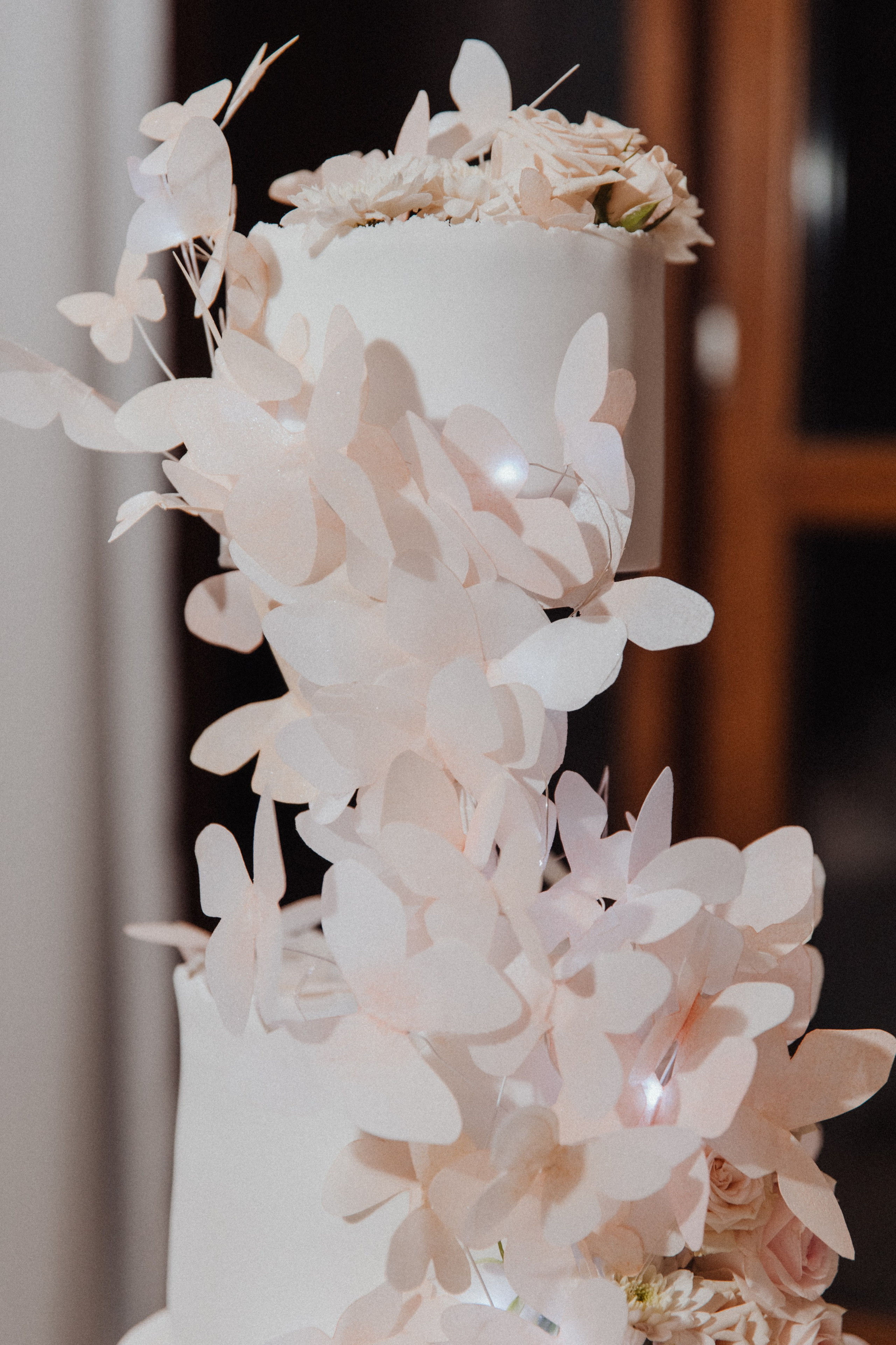 Sochi. Свадебный фотограф Анастасия Пальчикова