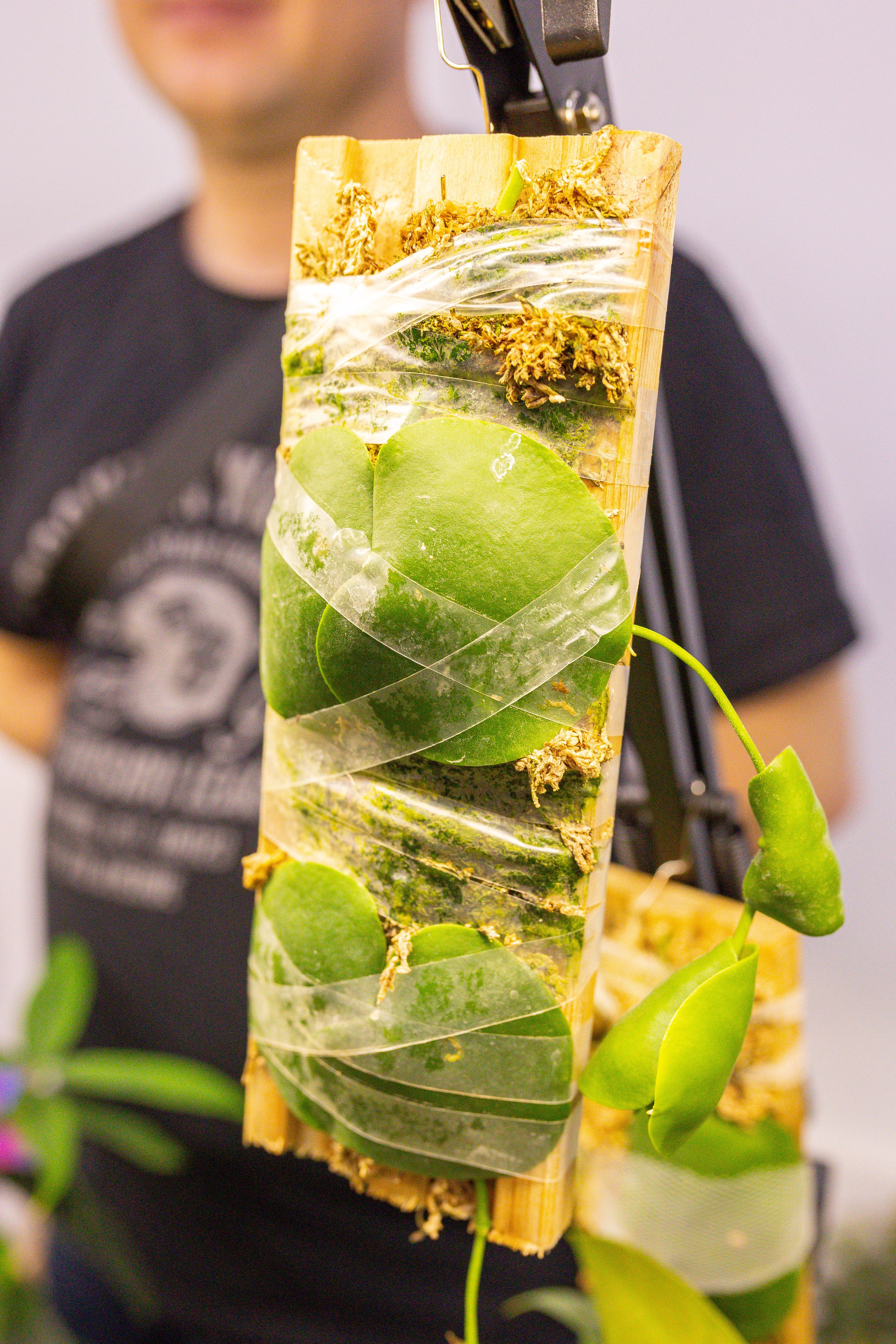 Монстериум 11–12 октября. Александра Куликова фотограф, Москва