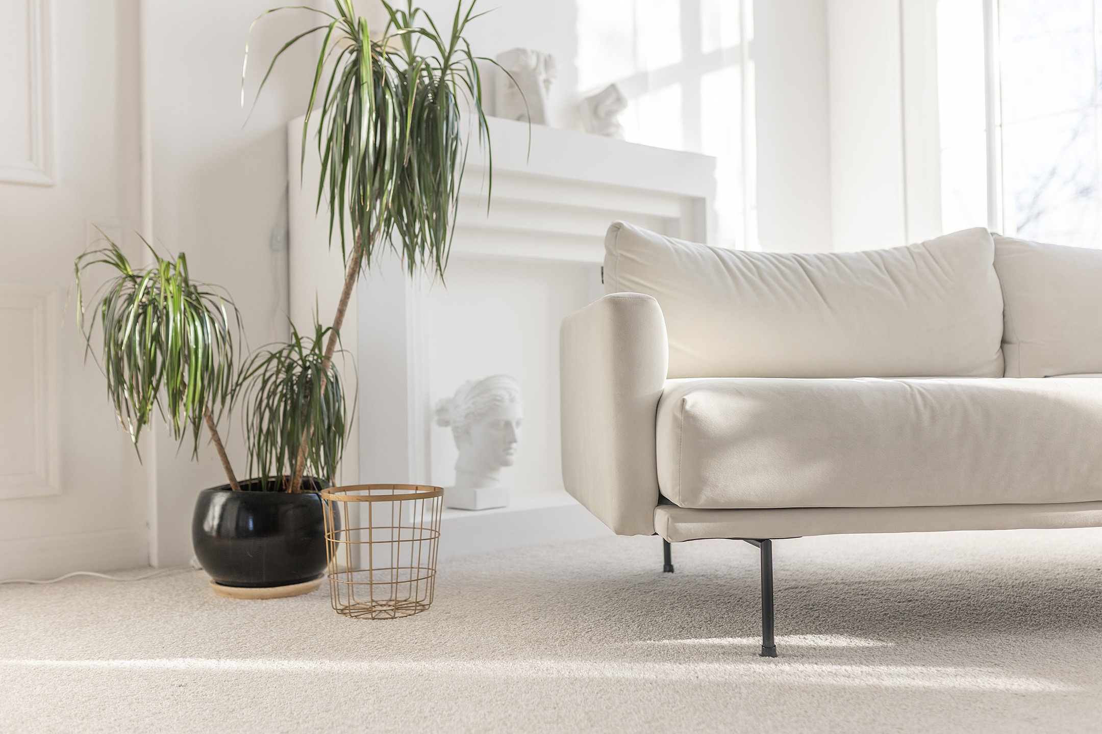 Фотостудия «MUSE» зал Dzen. Свадебный и семейный фотограф в Воронеже Катя Фишка