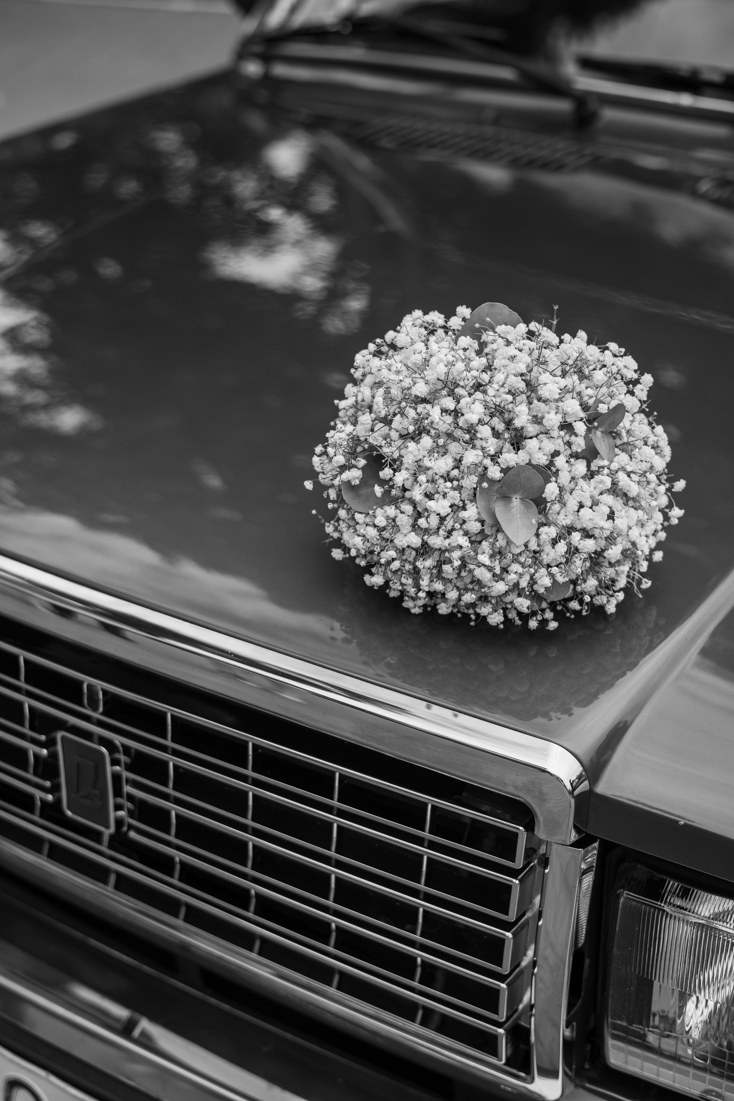 Яна и Дмитрий, Дворянское гнездо, ЗАГС г. Королев. Свадебный и репортажный фотограф (Москва, Королев и другие)