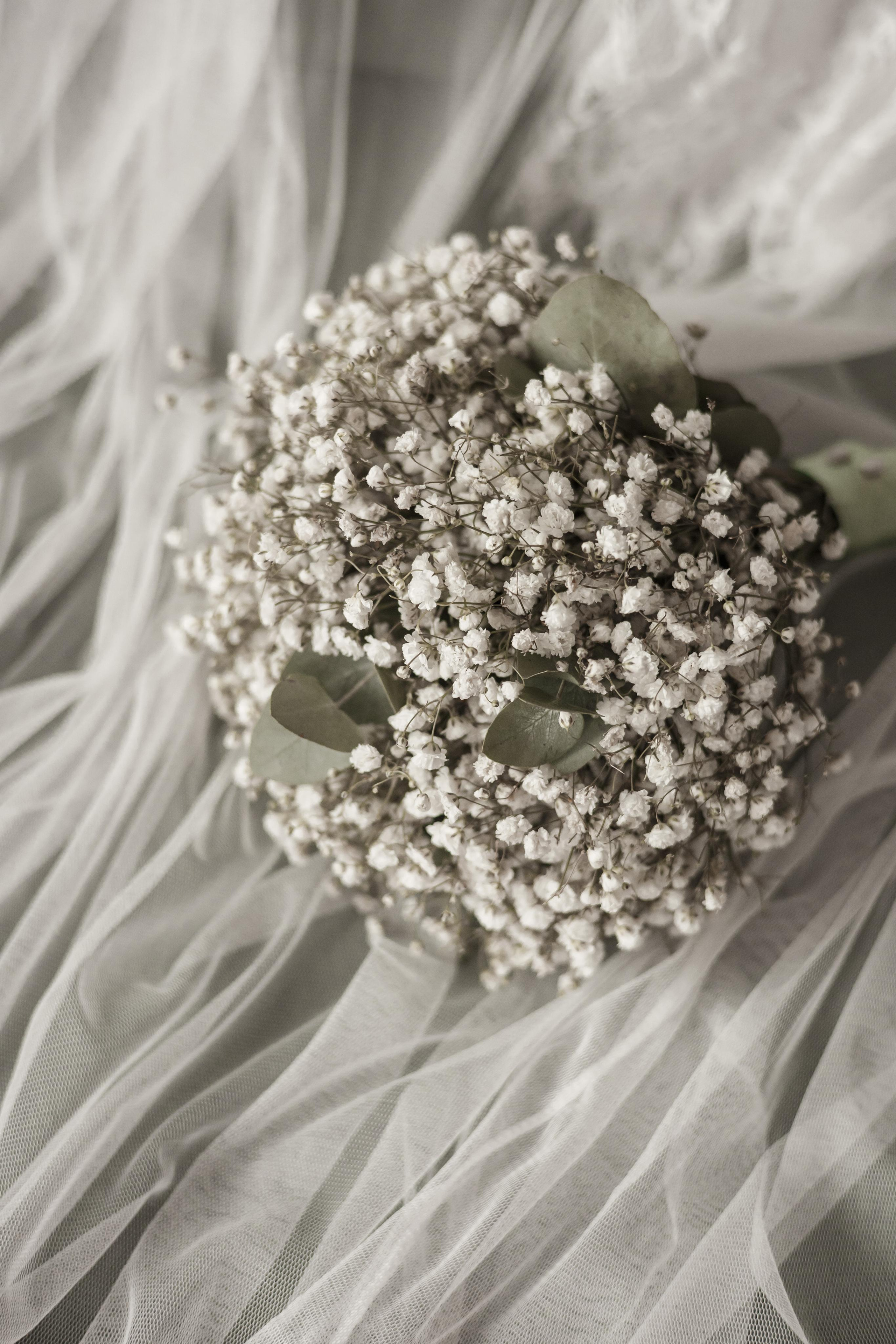 Яна и Дмитрий, Дворянское гнездо, ЗАГС г. Королев. Свадебный и репортажный фотограф (Москва, Королев и другие)