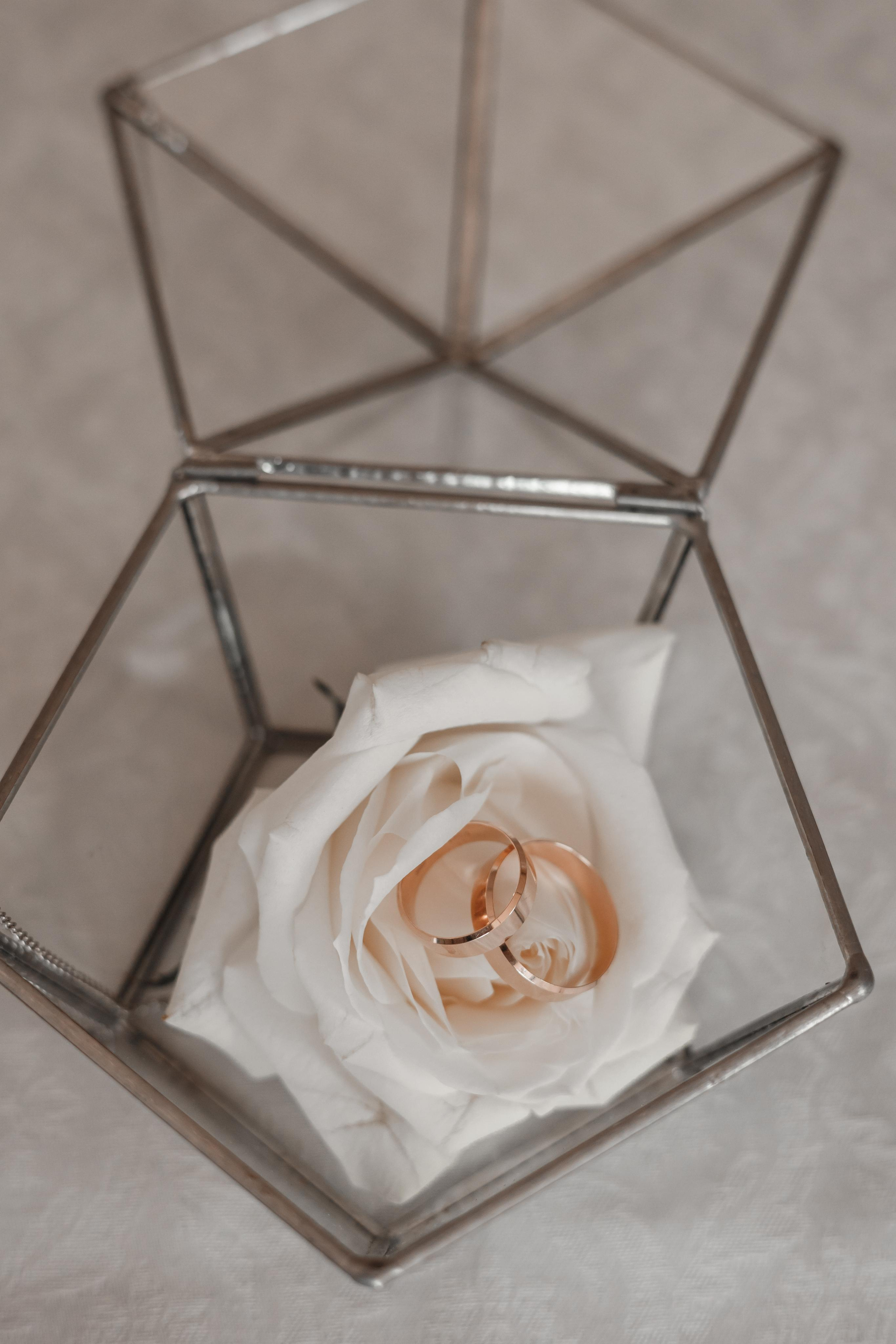 Яна и Дмитрий, Дворянское гнездо, ЗАГС г. Королев. Свадебный и репортажный фотограф (Москва, Королев и другие)