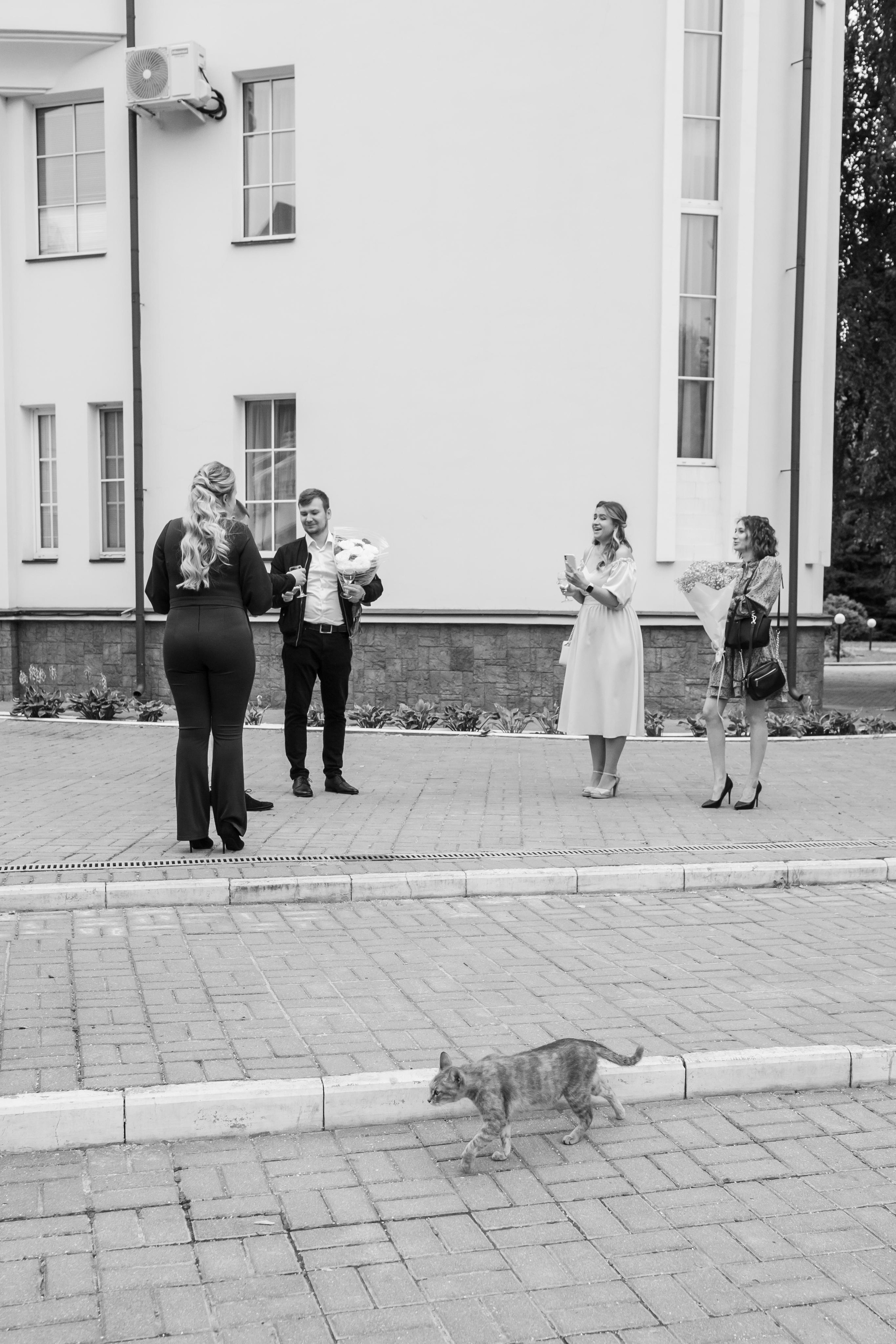 Яна и Дмитрий, Дворянское гнездо, ЗАГС г. Королев. Свадебный и репортажный фотограф (Москва, Королев и другие)