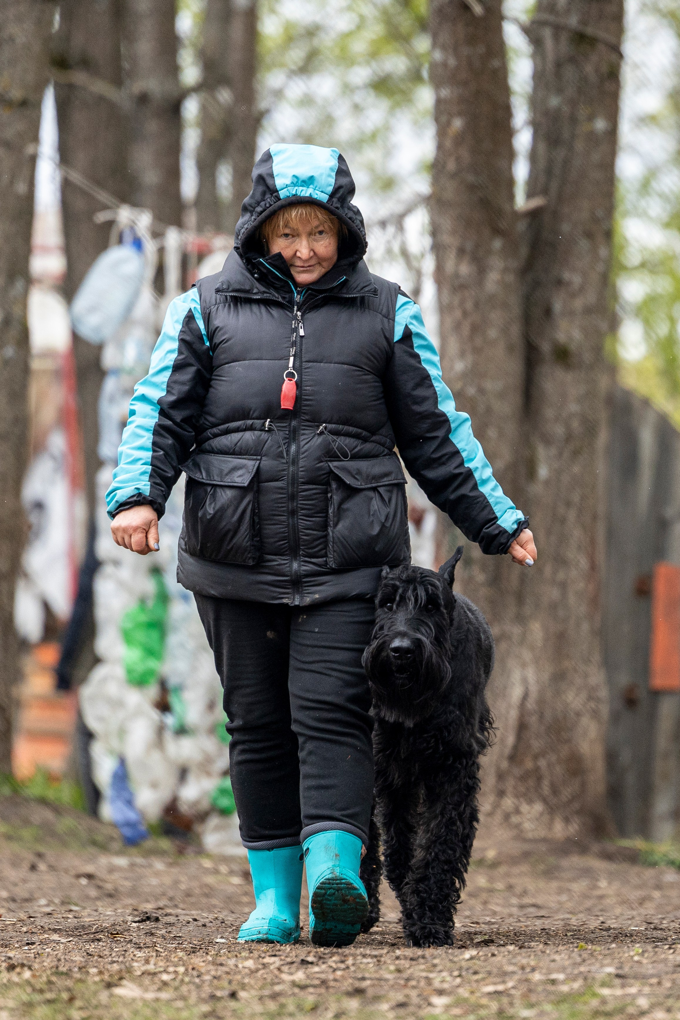 Квалификационные состязания по мондьорингу г. Вологда 11.05.24. Фотограф-анималист Анна Маринич