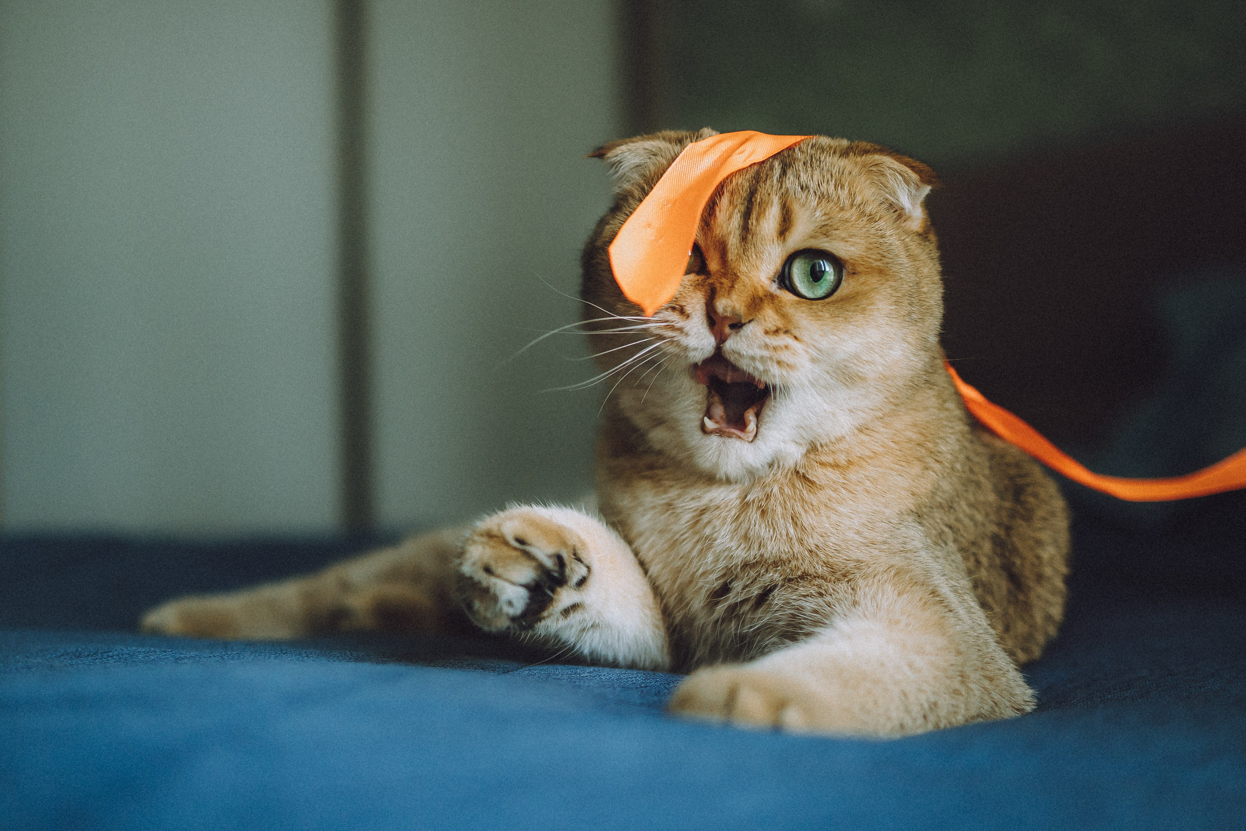 Генри и его семья