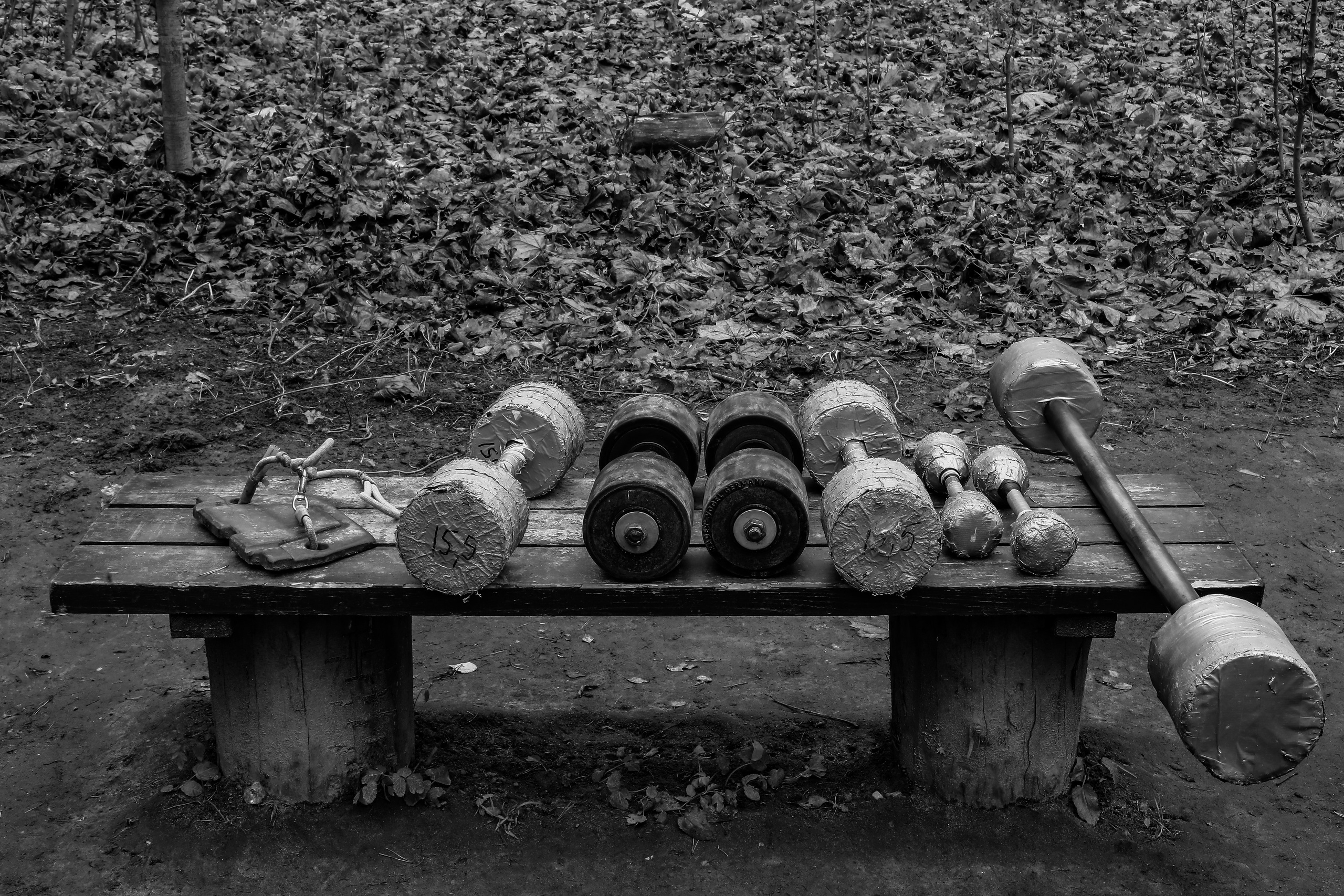 Качалка в лесу — 2022. Стас Привалов