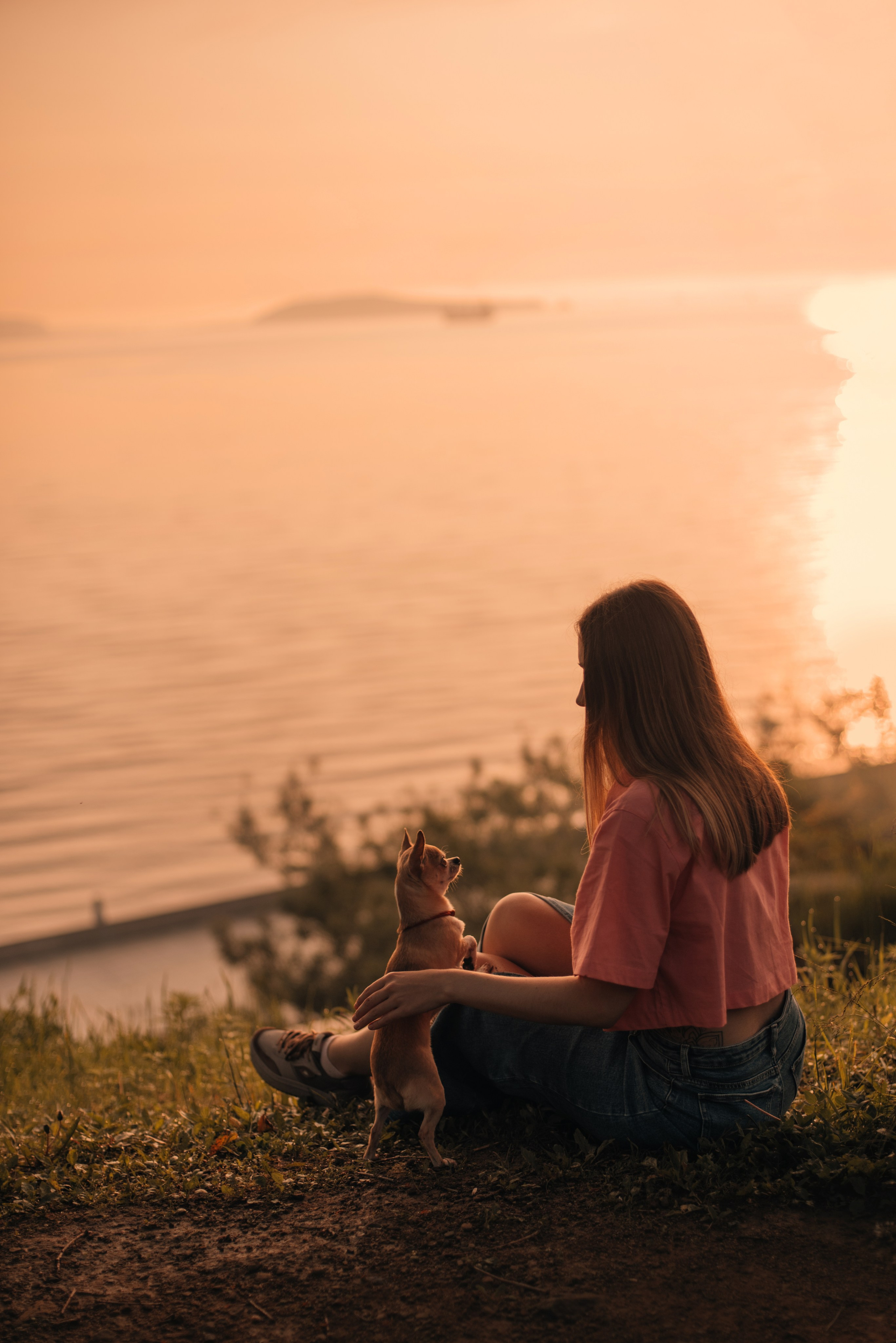 Прогулка: чихуахуа Хенни и Алина во Владивостоке. Портфолио