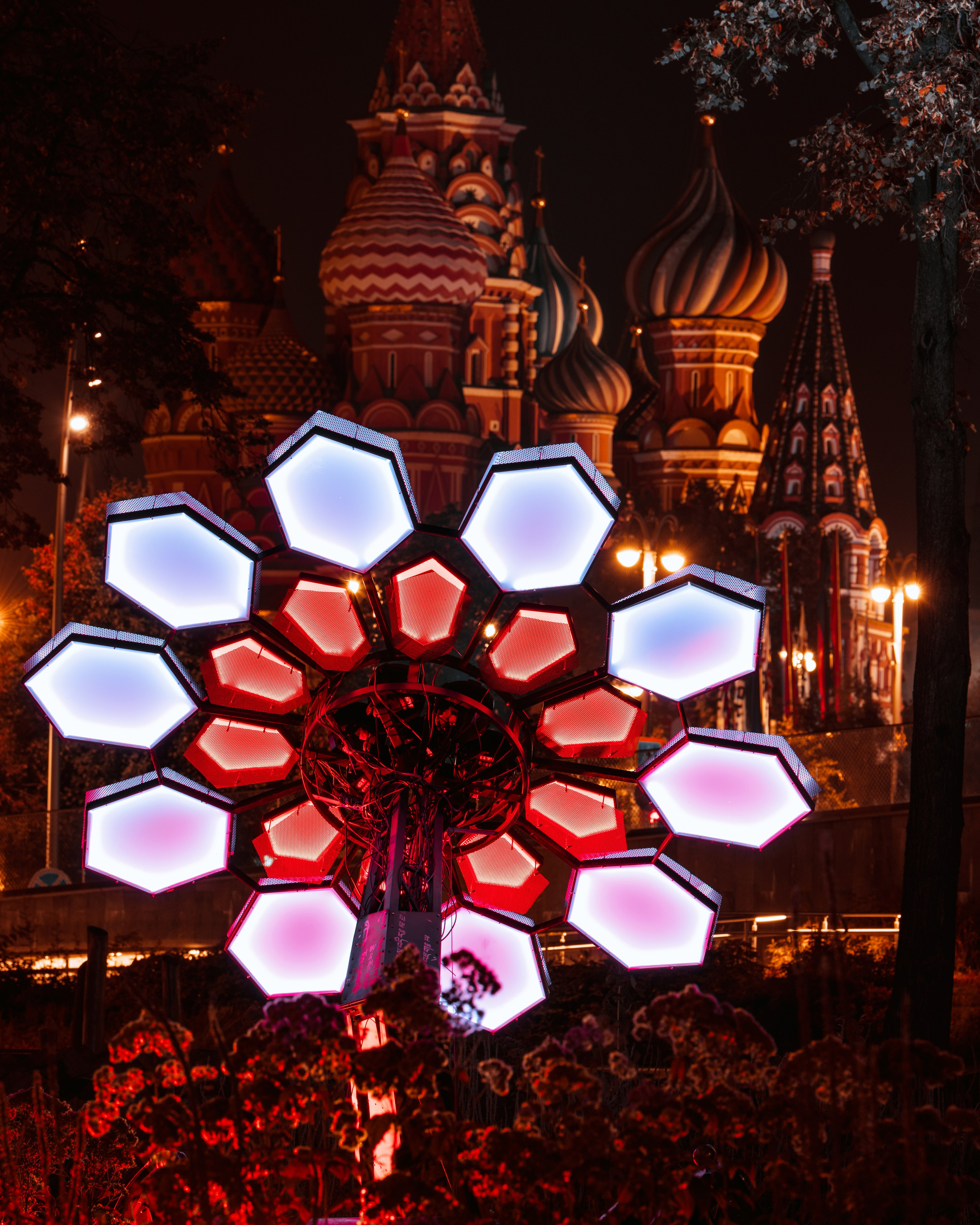 PANTERRA, Cyber Flower. @tomrus: Рустам Шагиморданов — фотограф