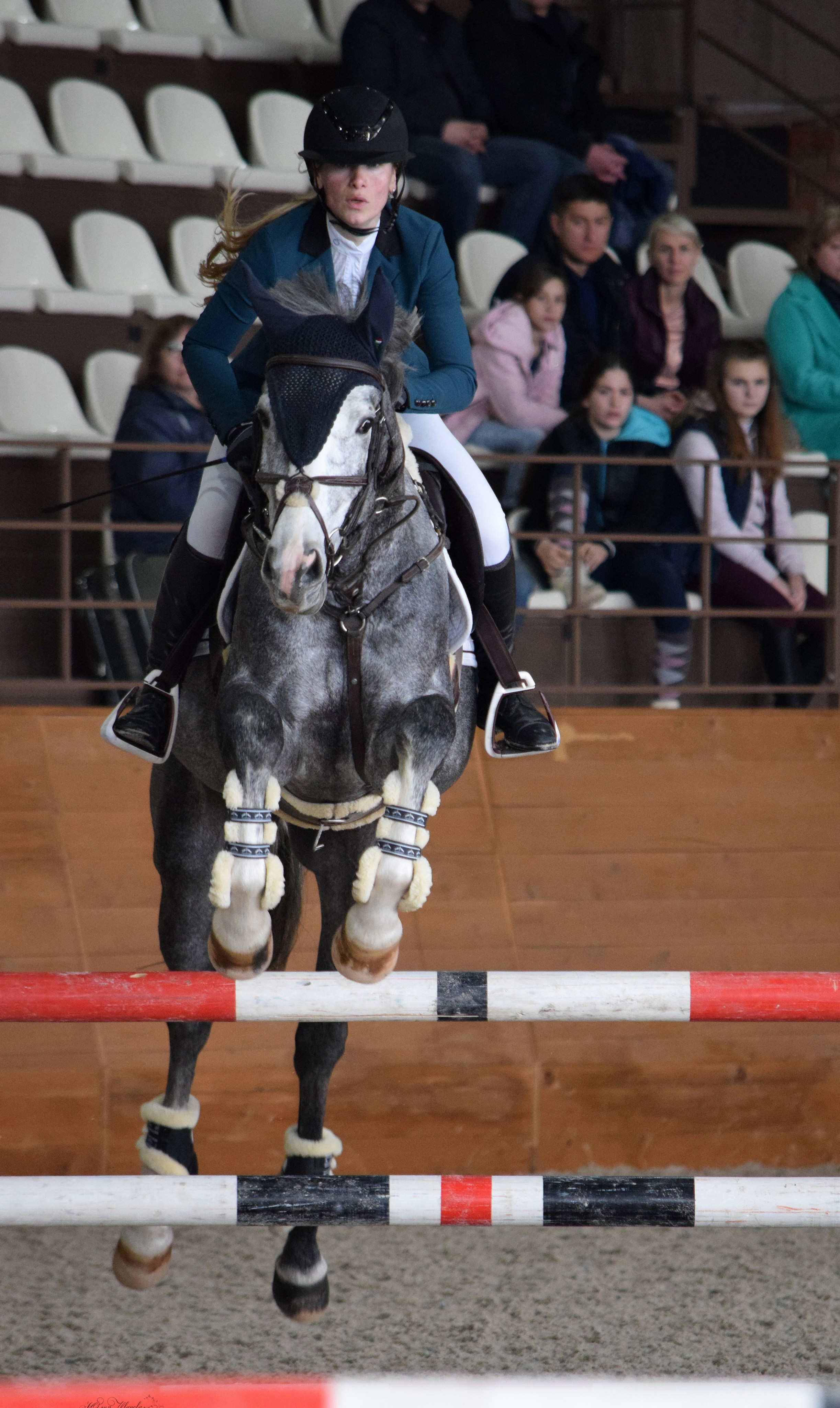 Конкур Гермес. Конный фотограф в Саратове Юлия Иванова