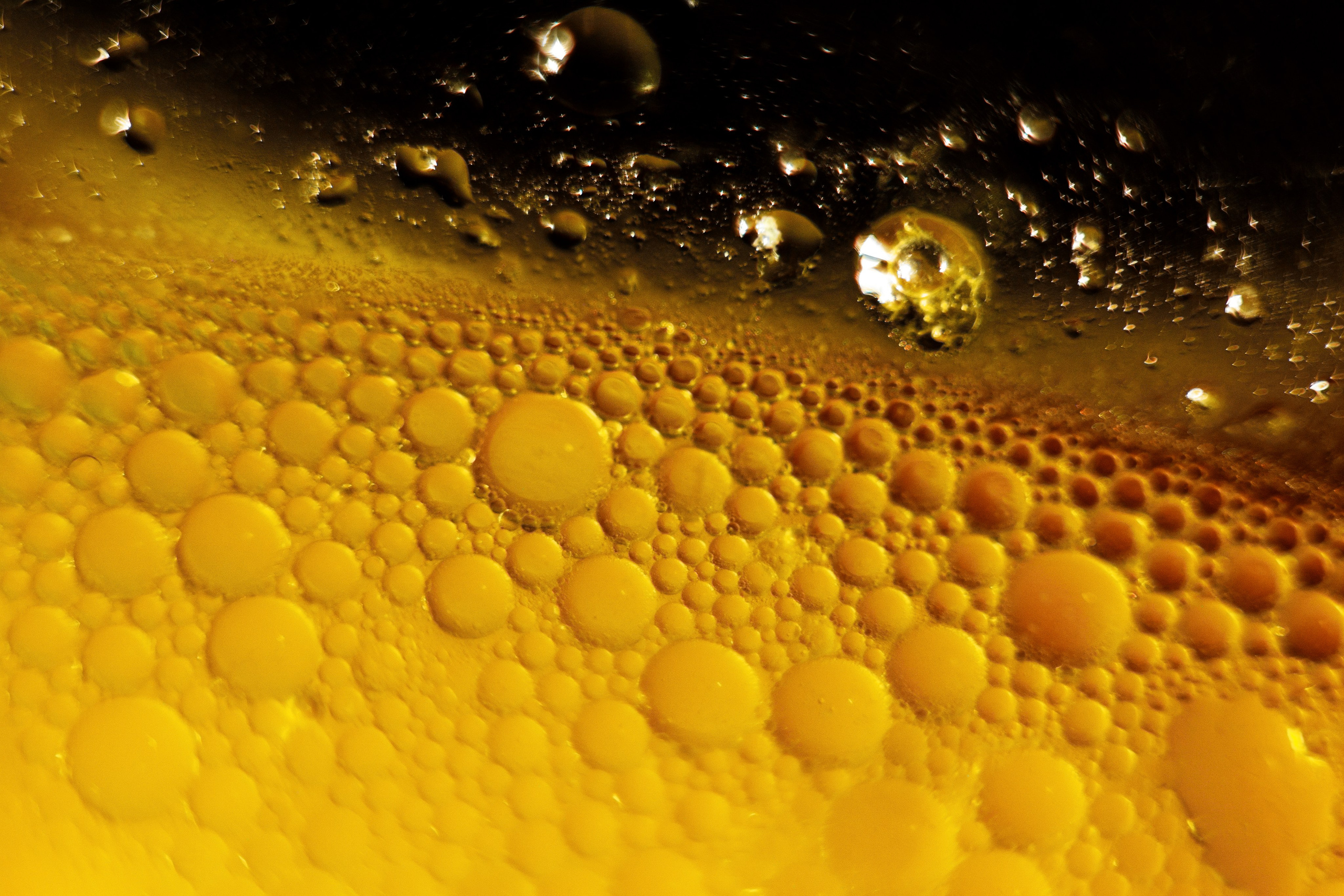 Неизведанная Вселенная. Главная