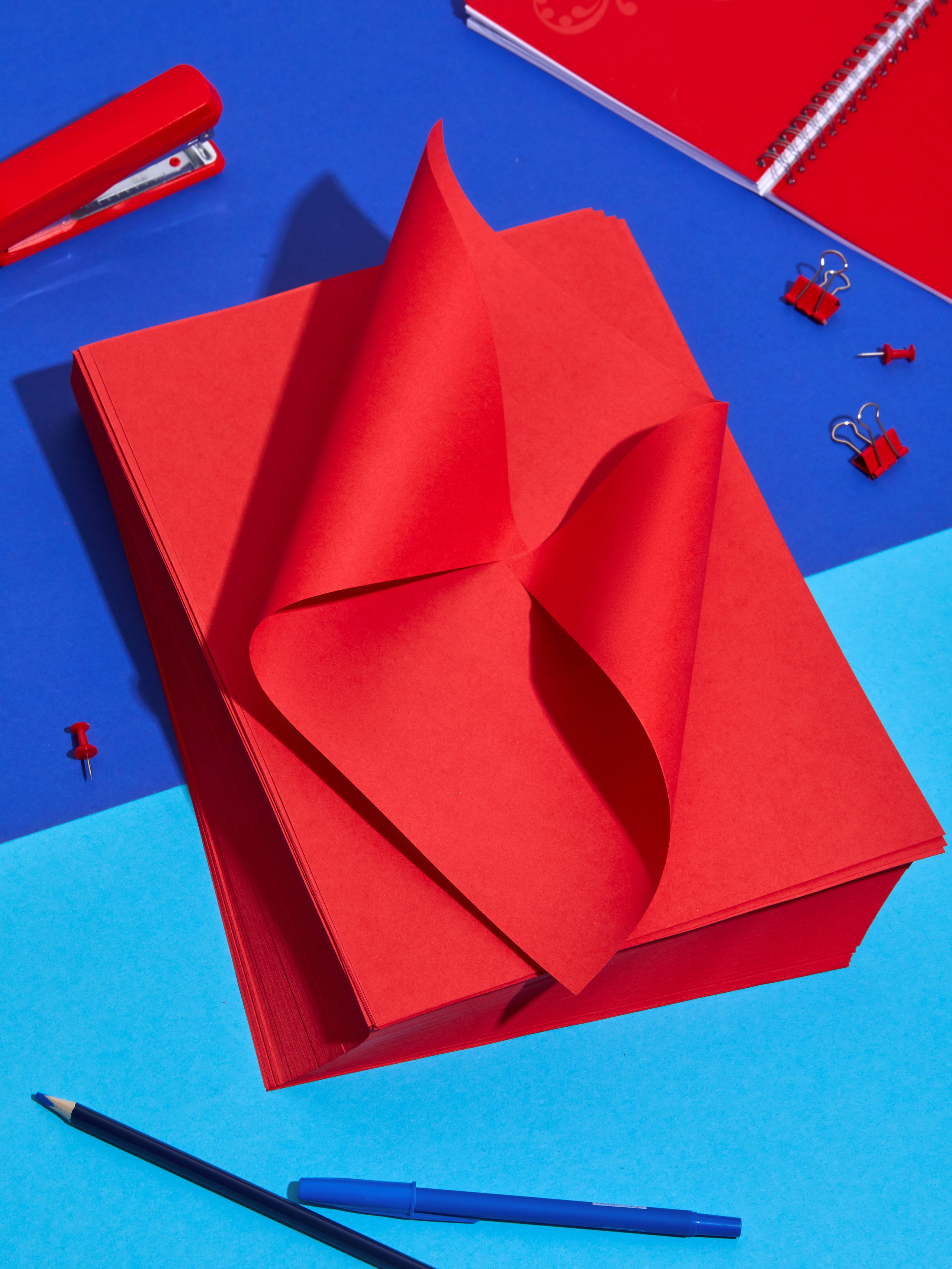 Komus. Aleksandra Egorova photo