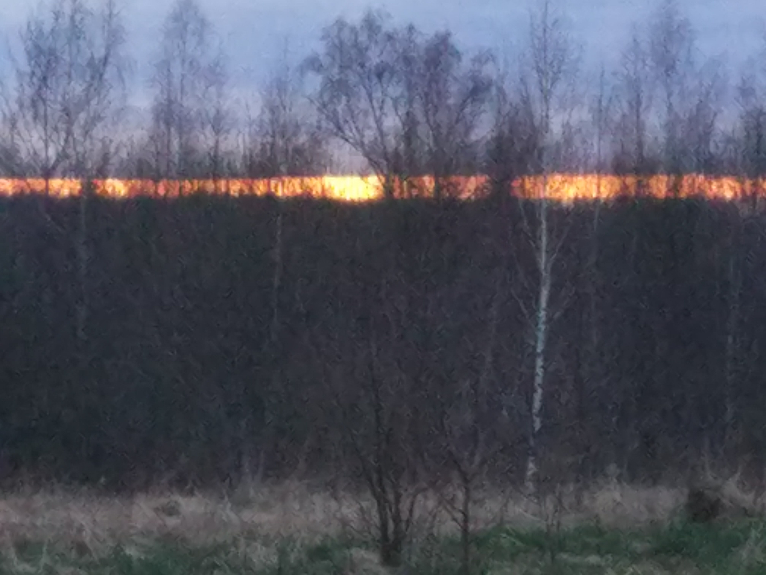 Не похоже на жизнь (2020). Художник. Фотограф