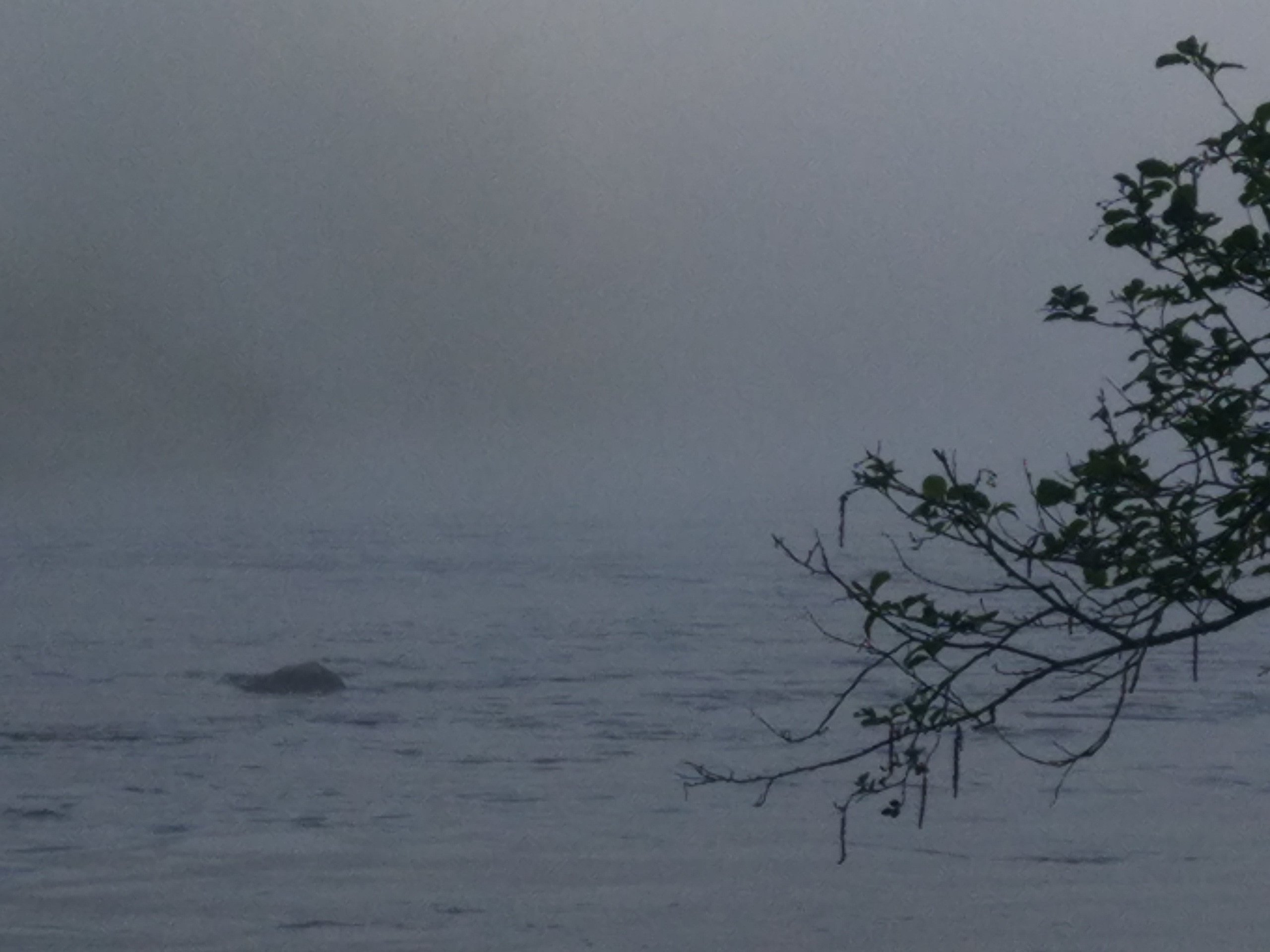 Не похоже на жизнь (2020). Художник. Фотограф