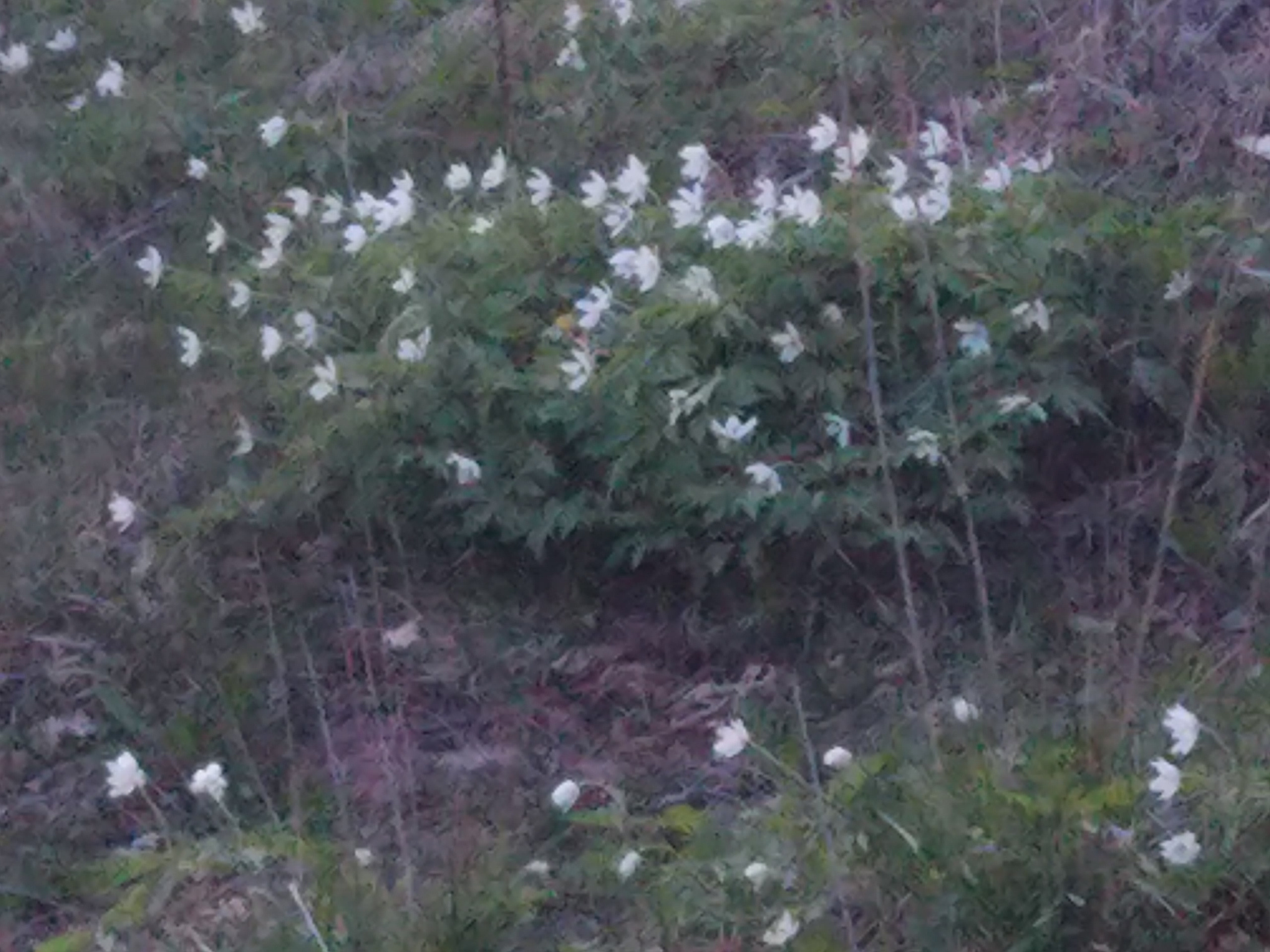 Не похоже на жизнь (2020). Художник. Фотограф