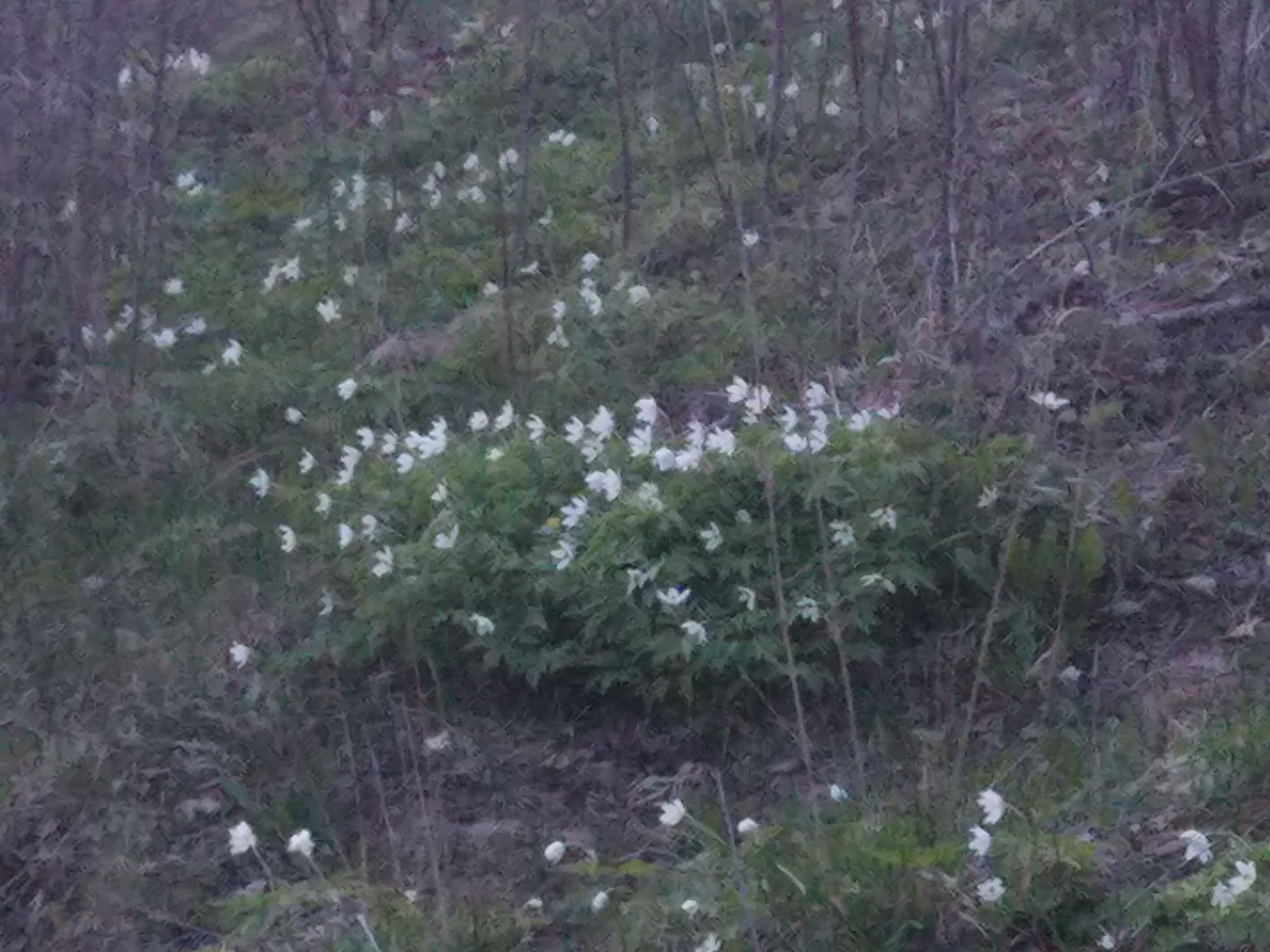 Не похоже на жизнь (2020). Художник. Фотограф