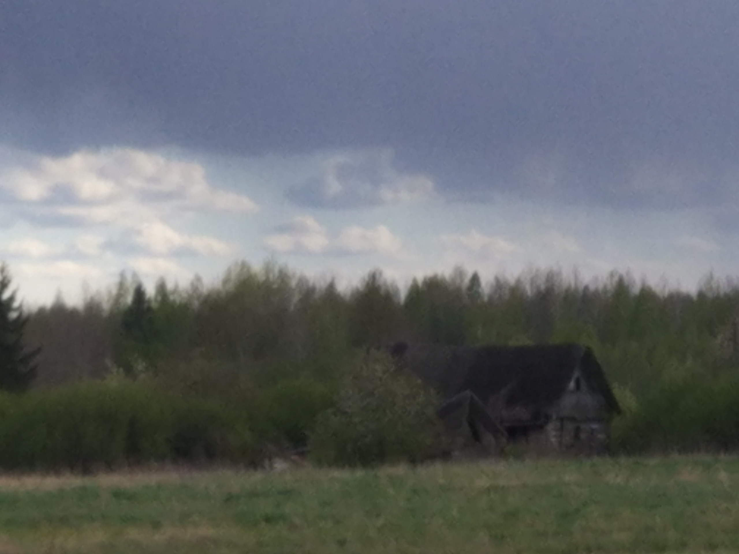 Не похоже на жизнь (2020). Художник. Фотограф