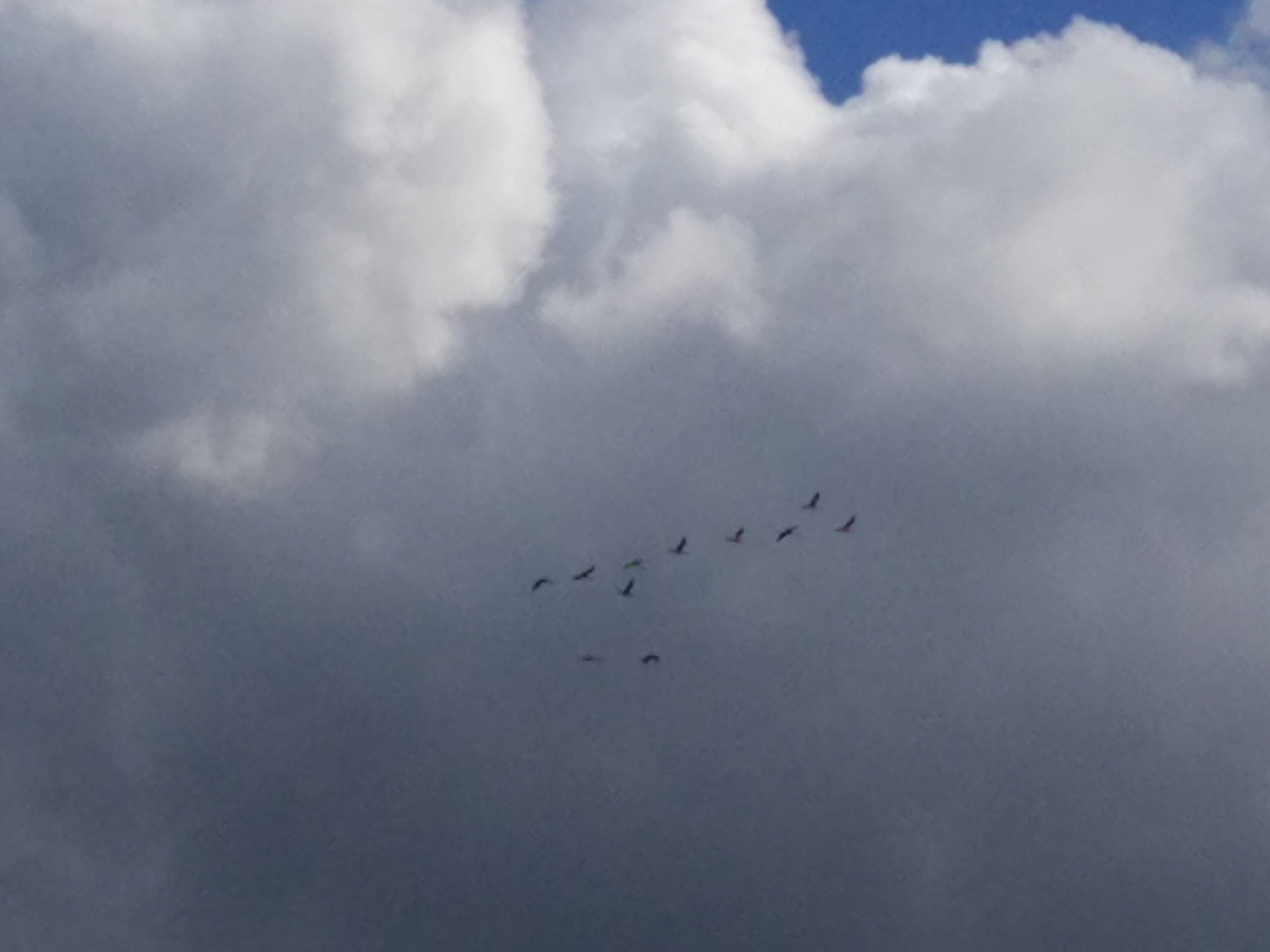 Не похоже на жизнь (2020). Художник. Фотограф