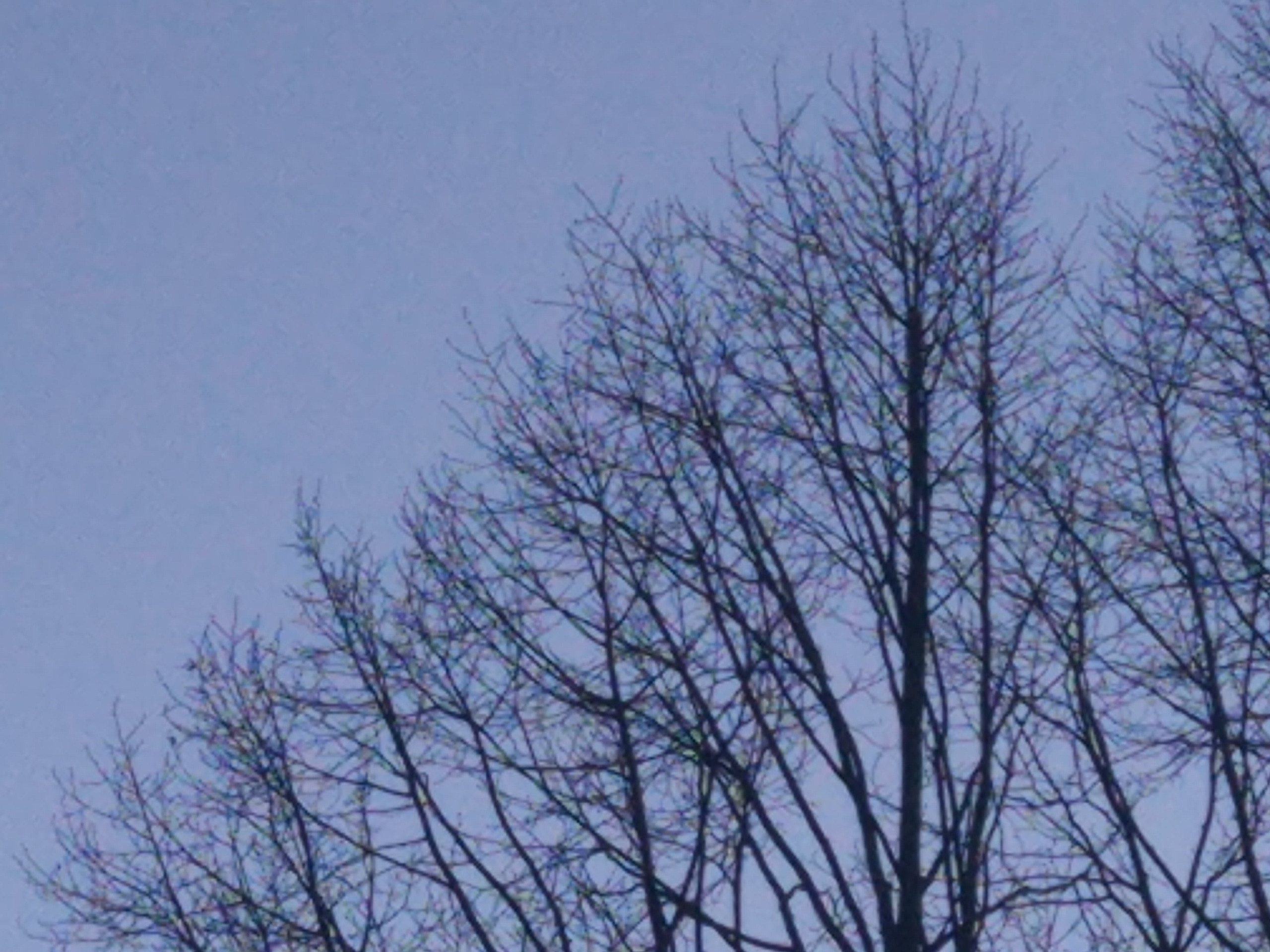 Не похоже на жизнь (2020). Художник. Фотограф