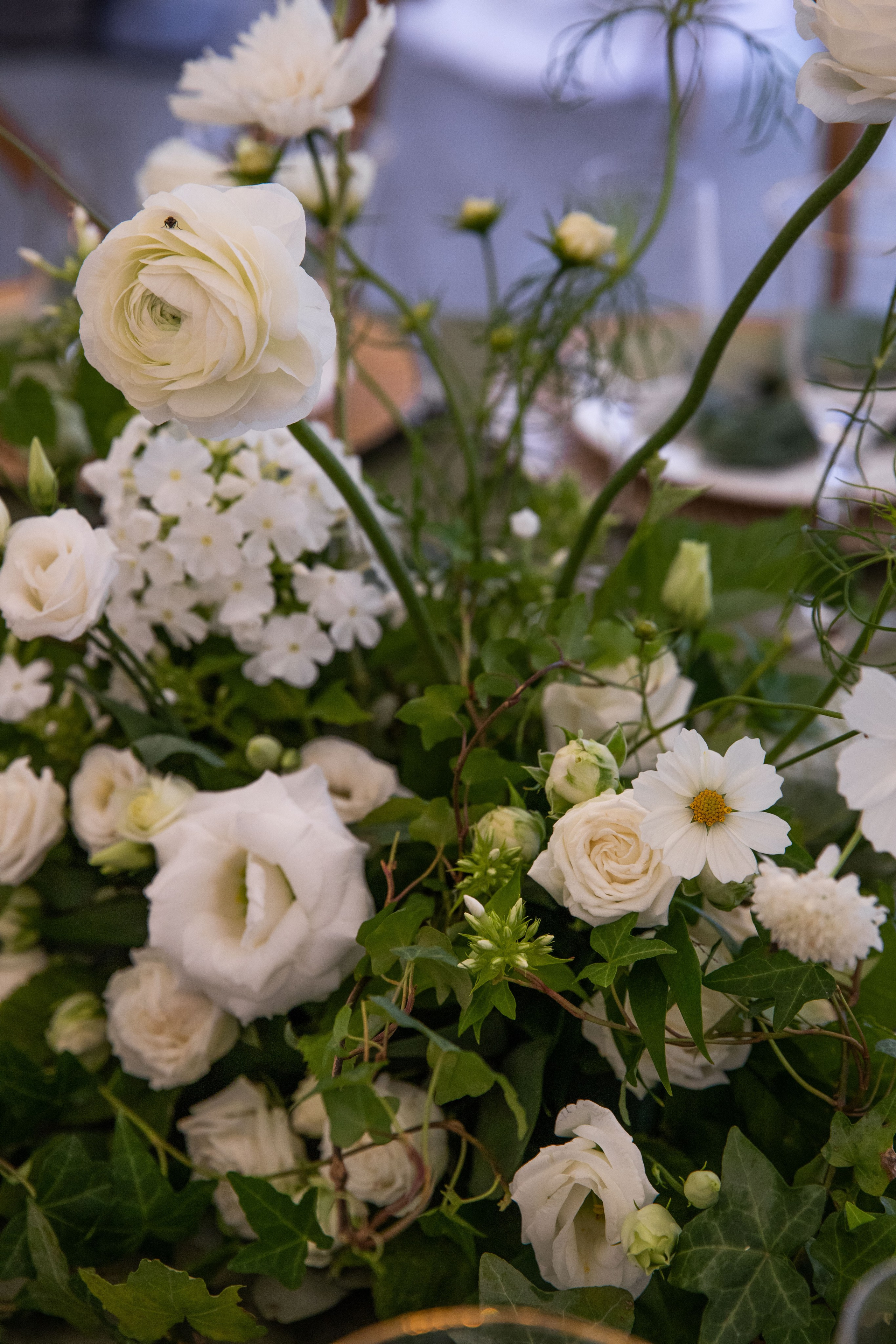 Вереск. Свадебный фотограф Анастасия Казакова