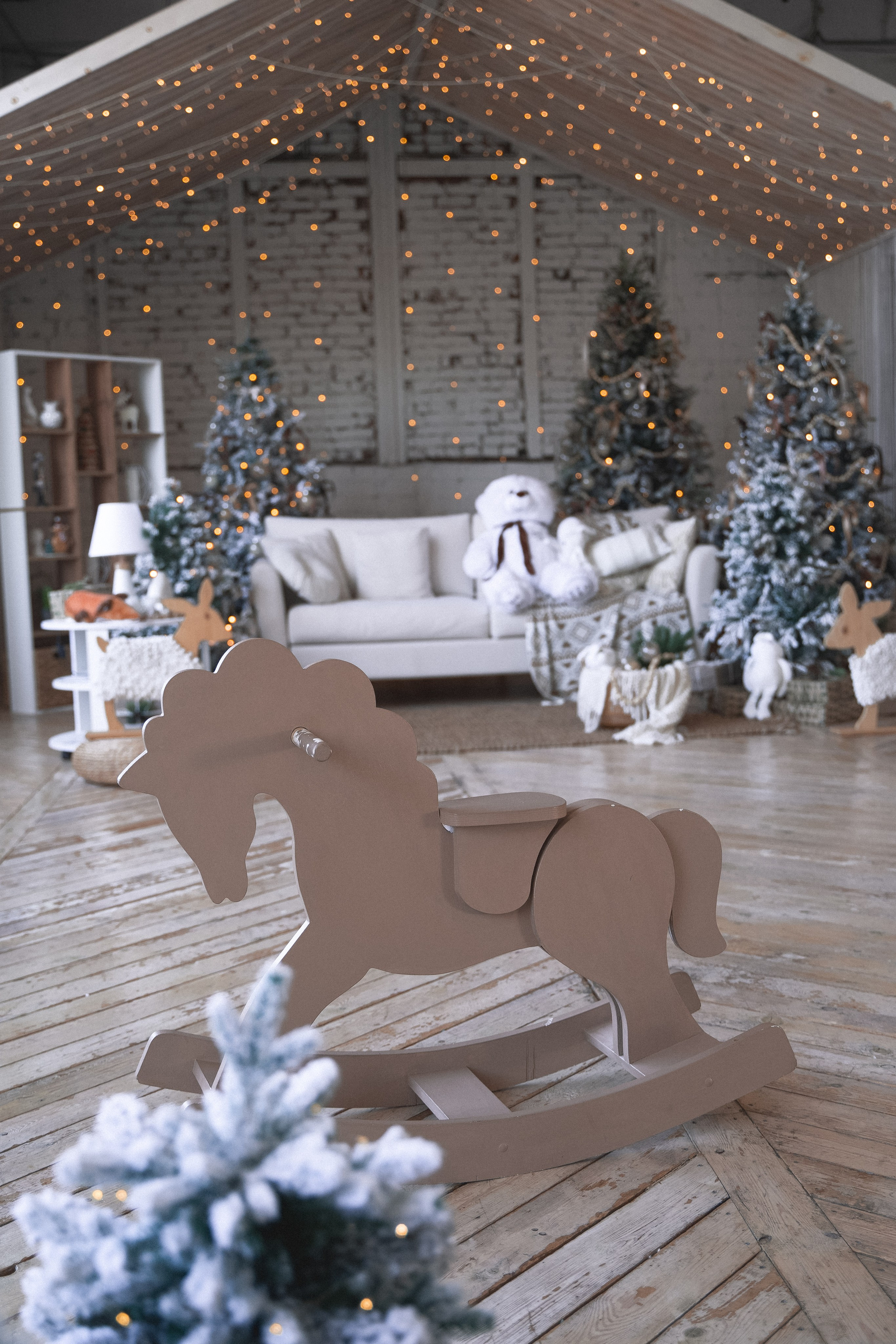 Зал Композиция. Фотограф г. Хабаровск. Семейные и индивидуальные съёмки