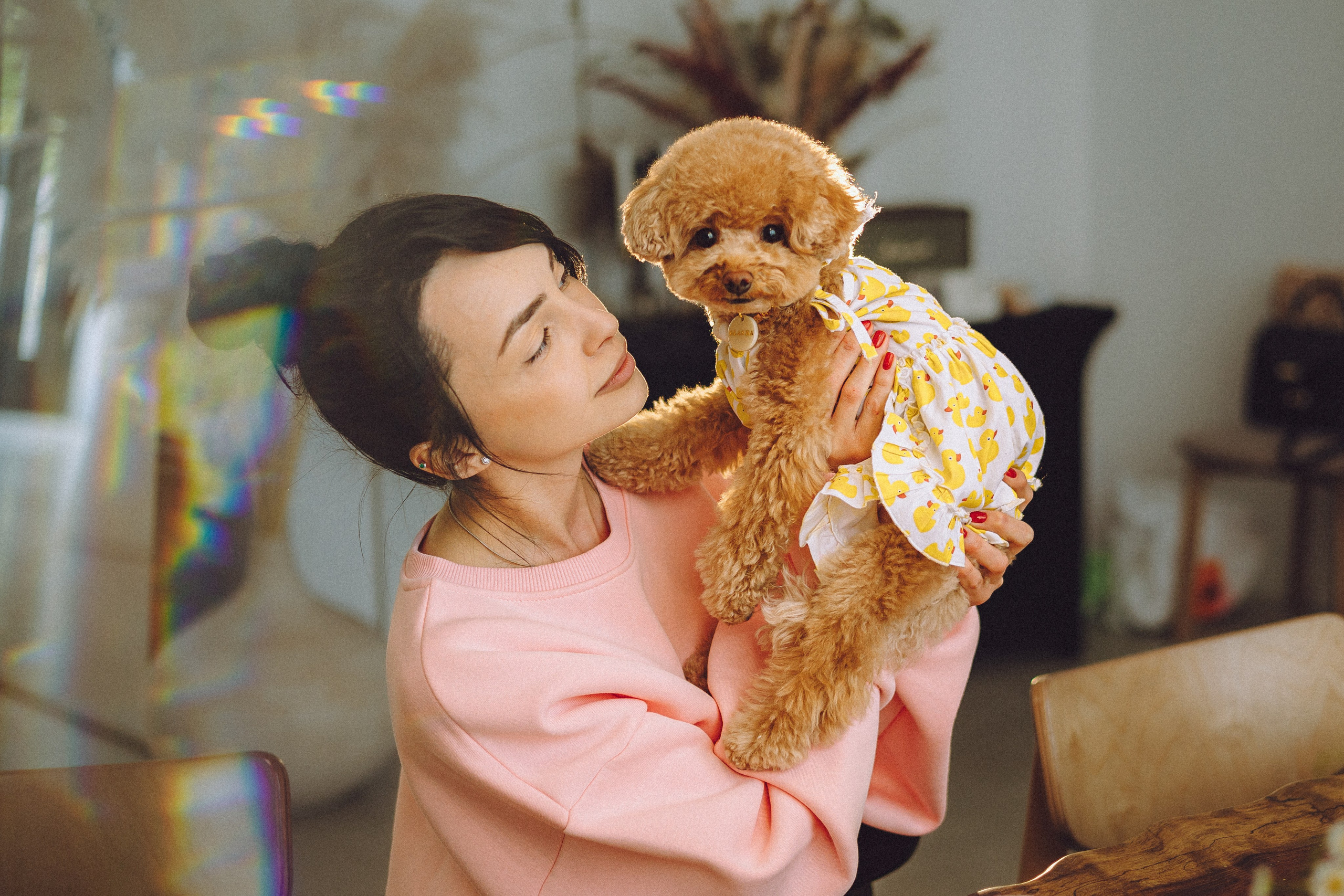 День Рождения пуделя Глаши