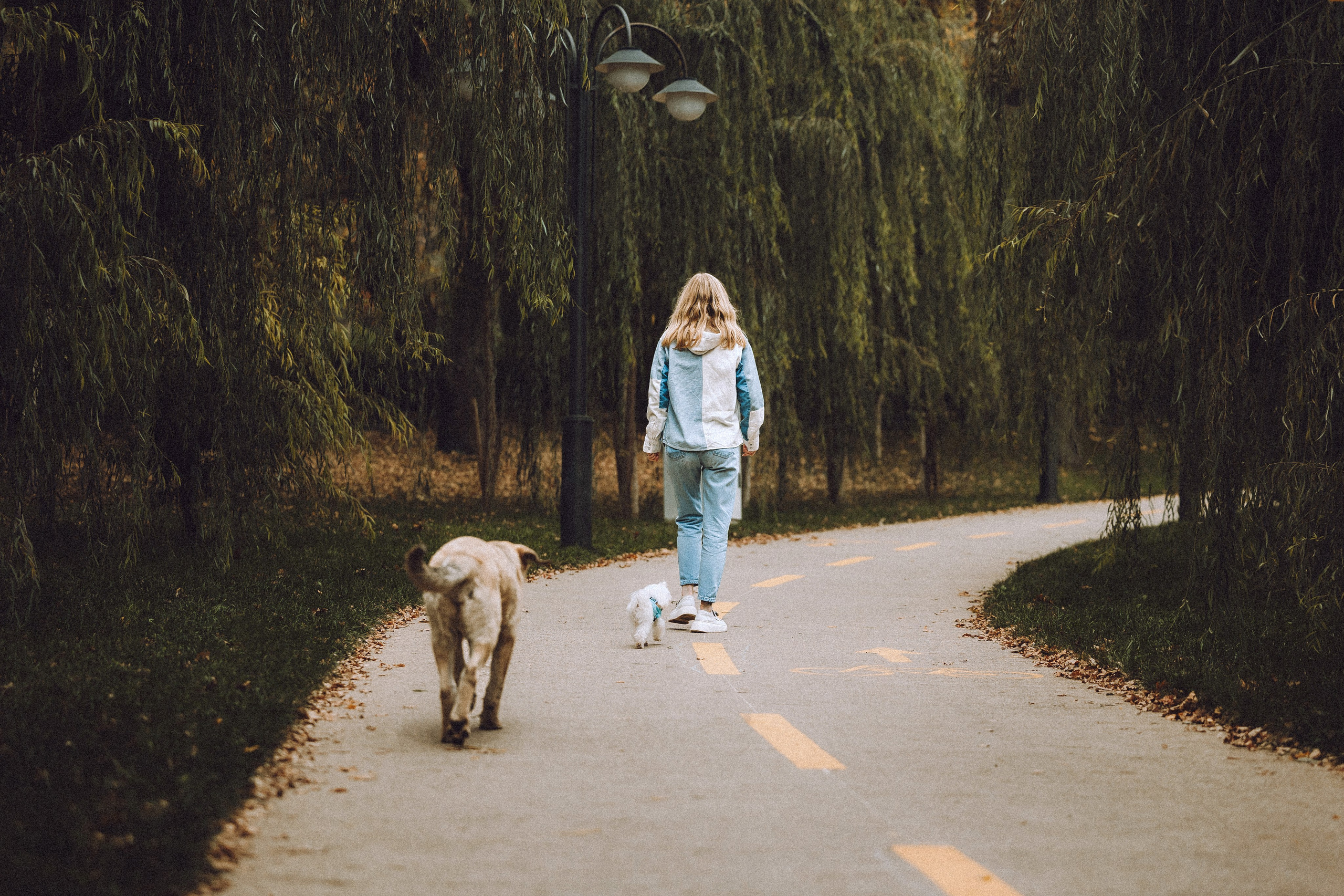 Настя и Гоша