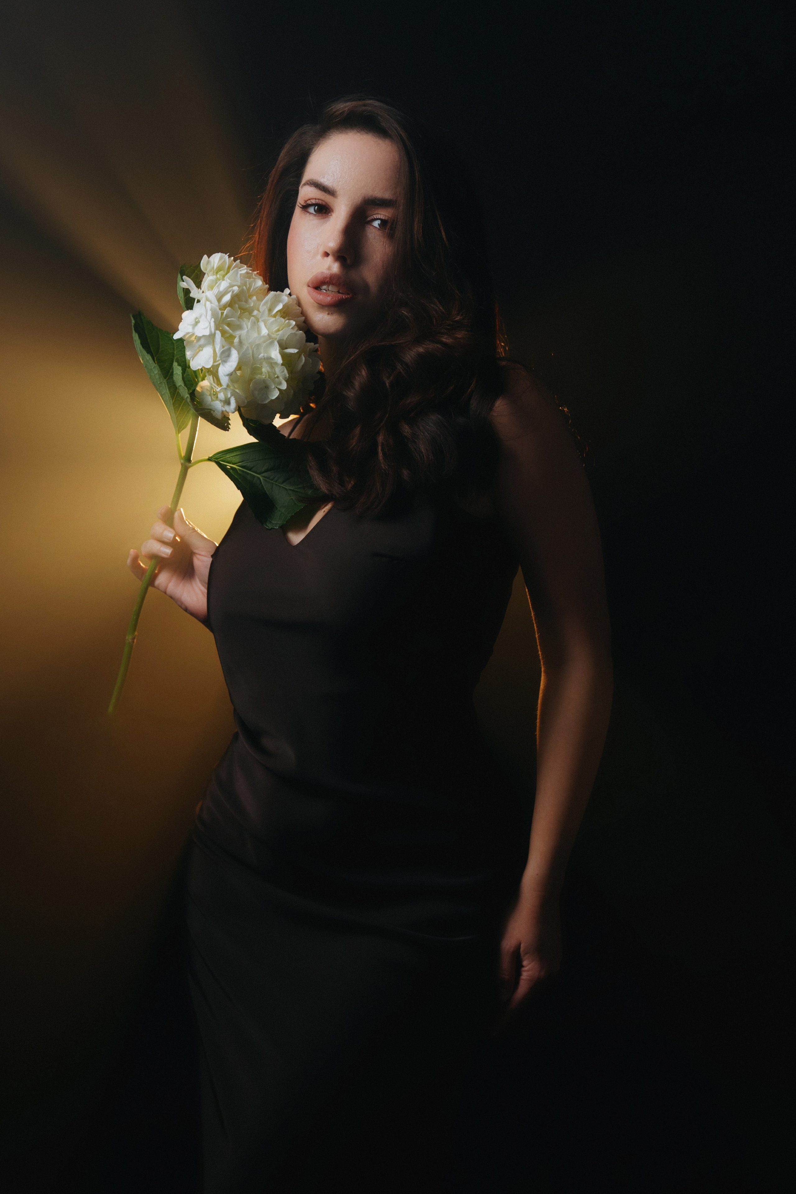 Violetta. Фотограф Волгоград