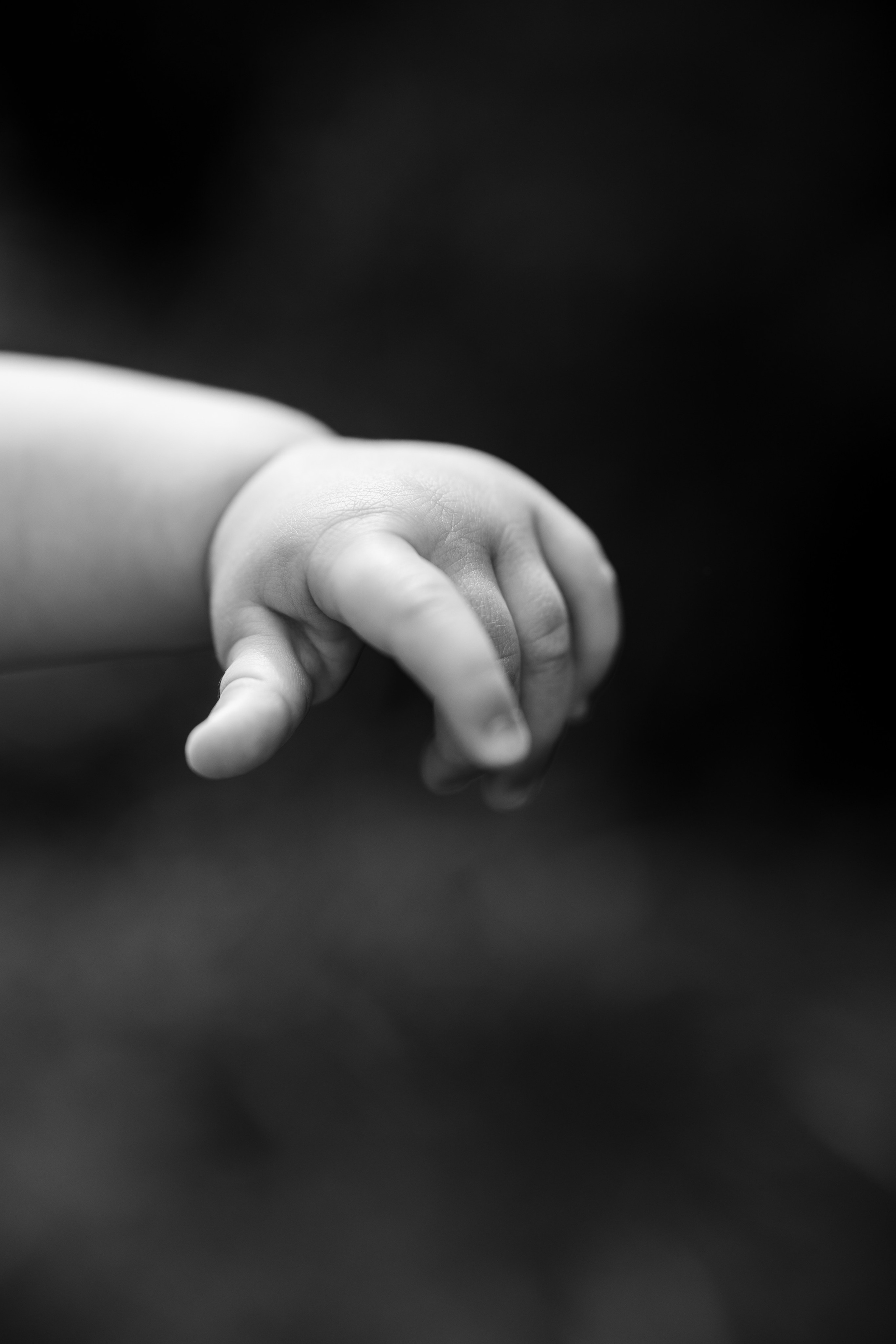 6 months. Фотограф Екатерина Заречнова