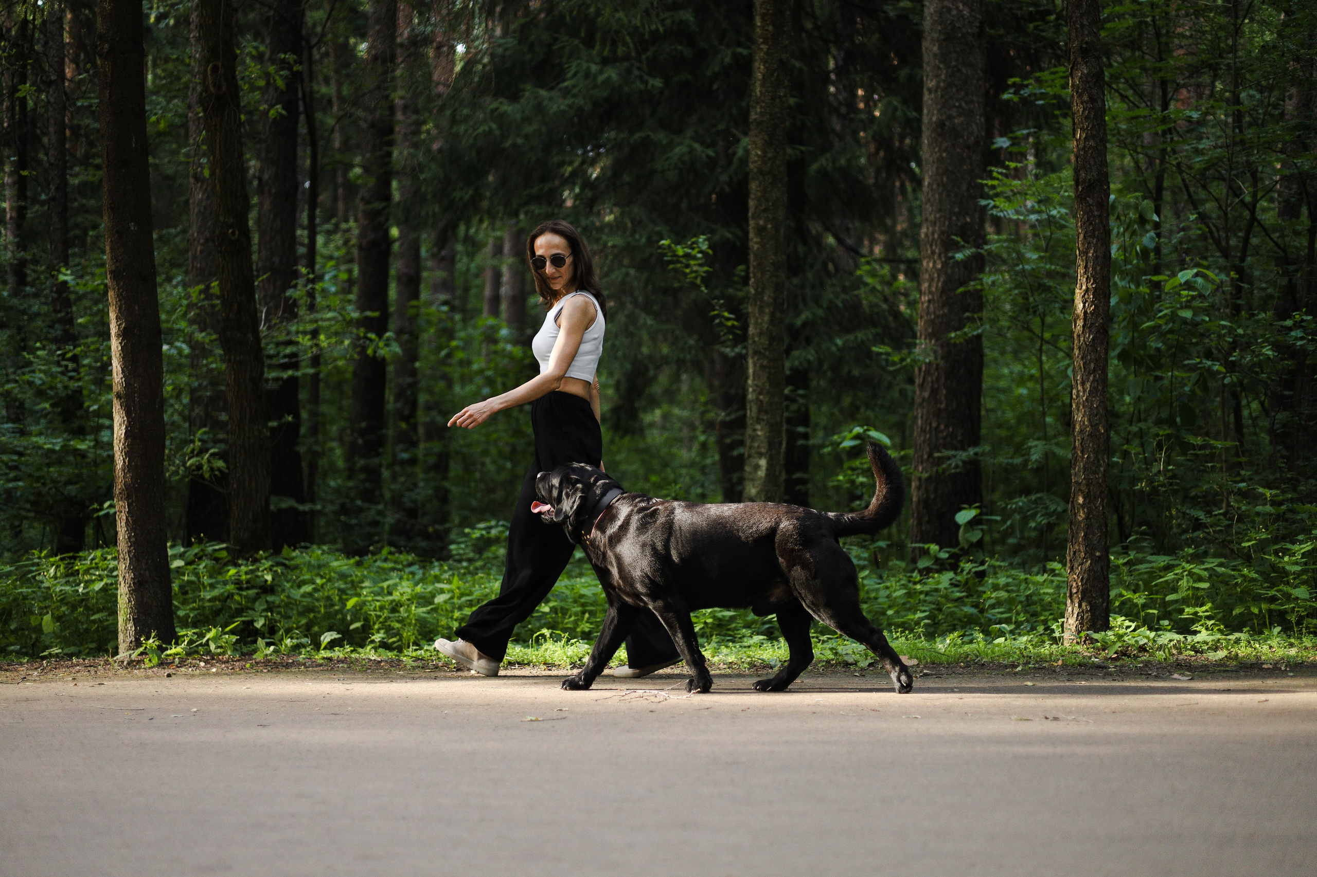 Найт и Соня. Фотограф-анималист Ксения Шевцова|Москва
