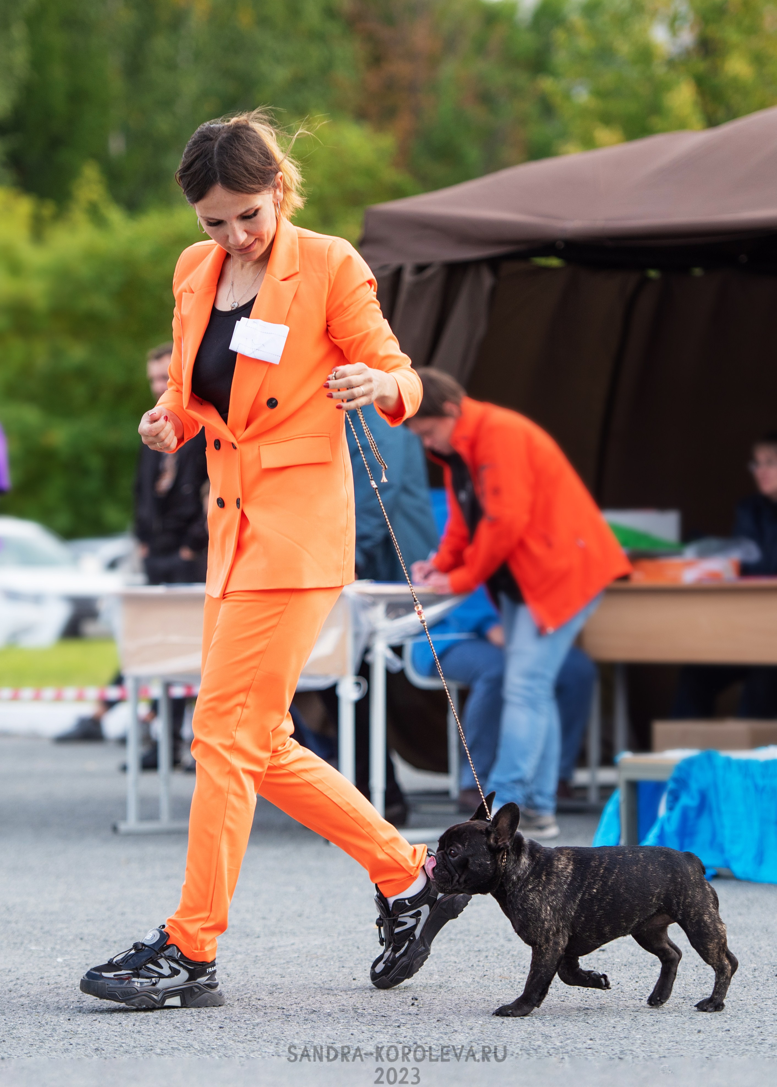 Выставка собак Тюмень 02.09.2023. Дог-фотограф в Тюмени Александра Королева