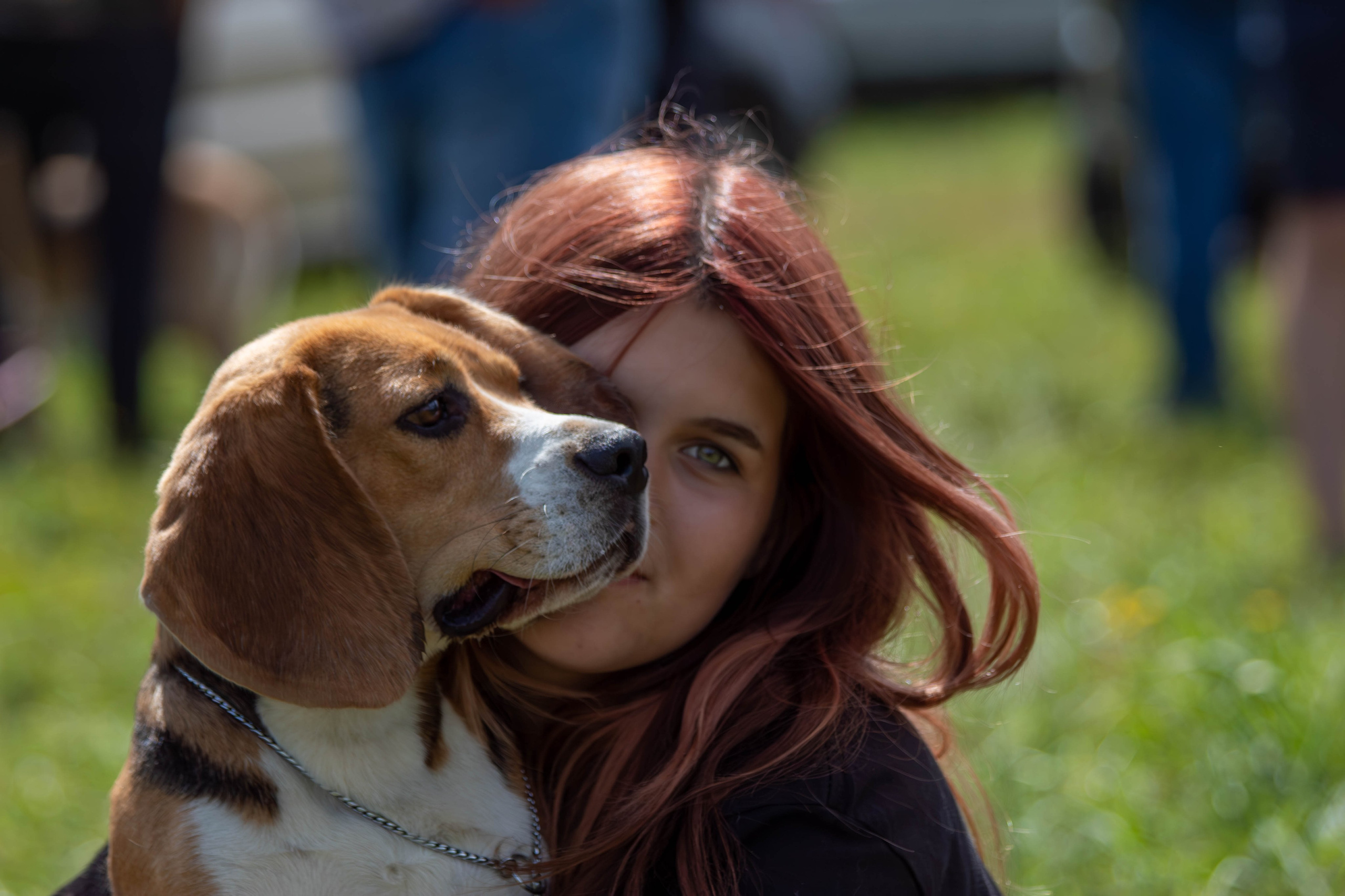 Репортажная съемка в Туле. Фотограф анималист — Тула, Москва