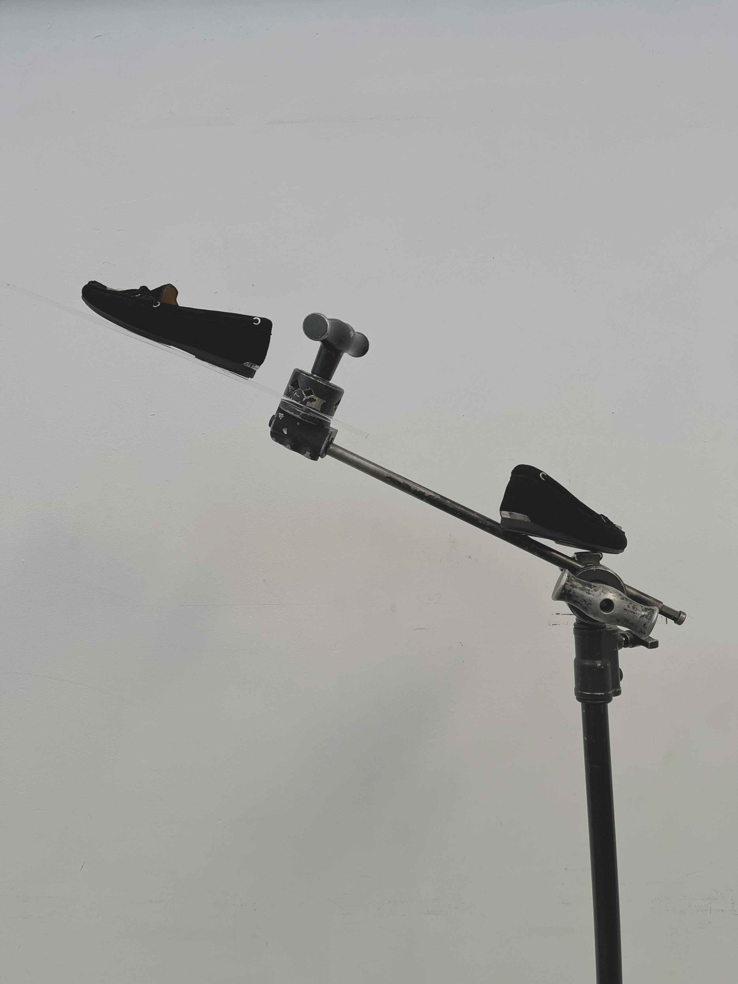 Series. Art direction & Design | Curiosa