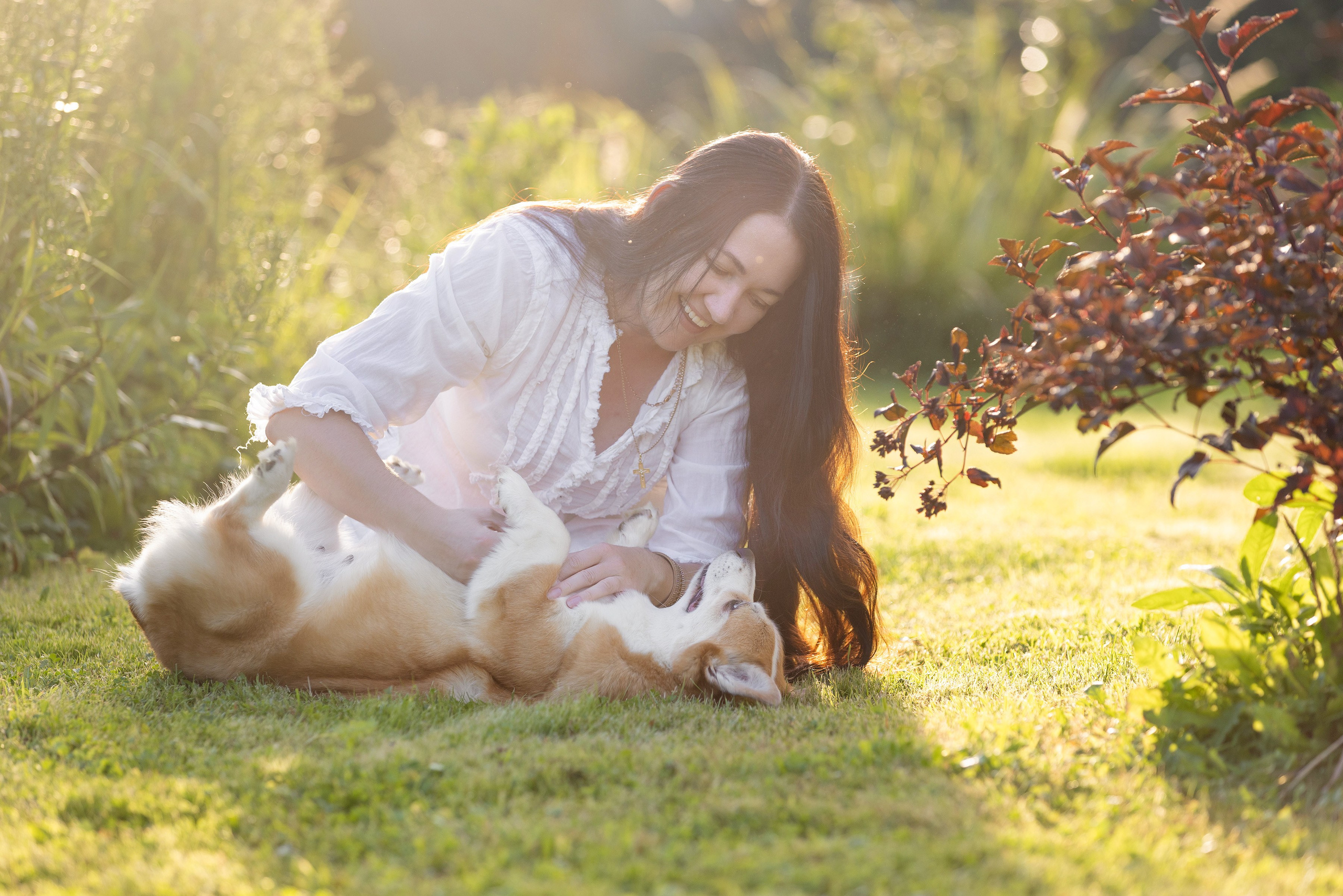 Собаки и не только. Фотограф Алена Звездина
