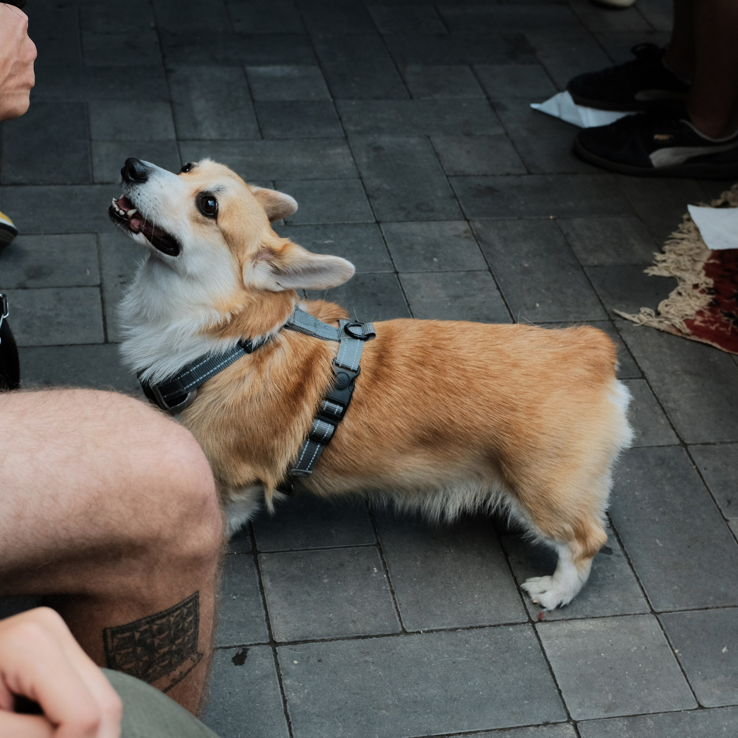 Rostov-on-Don. Creative travel photographer — Berg Daria