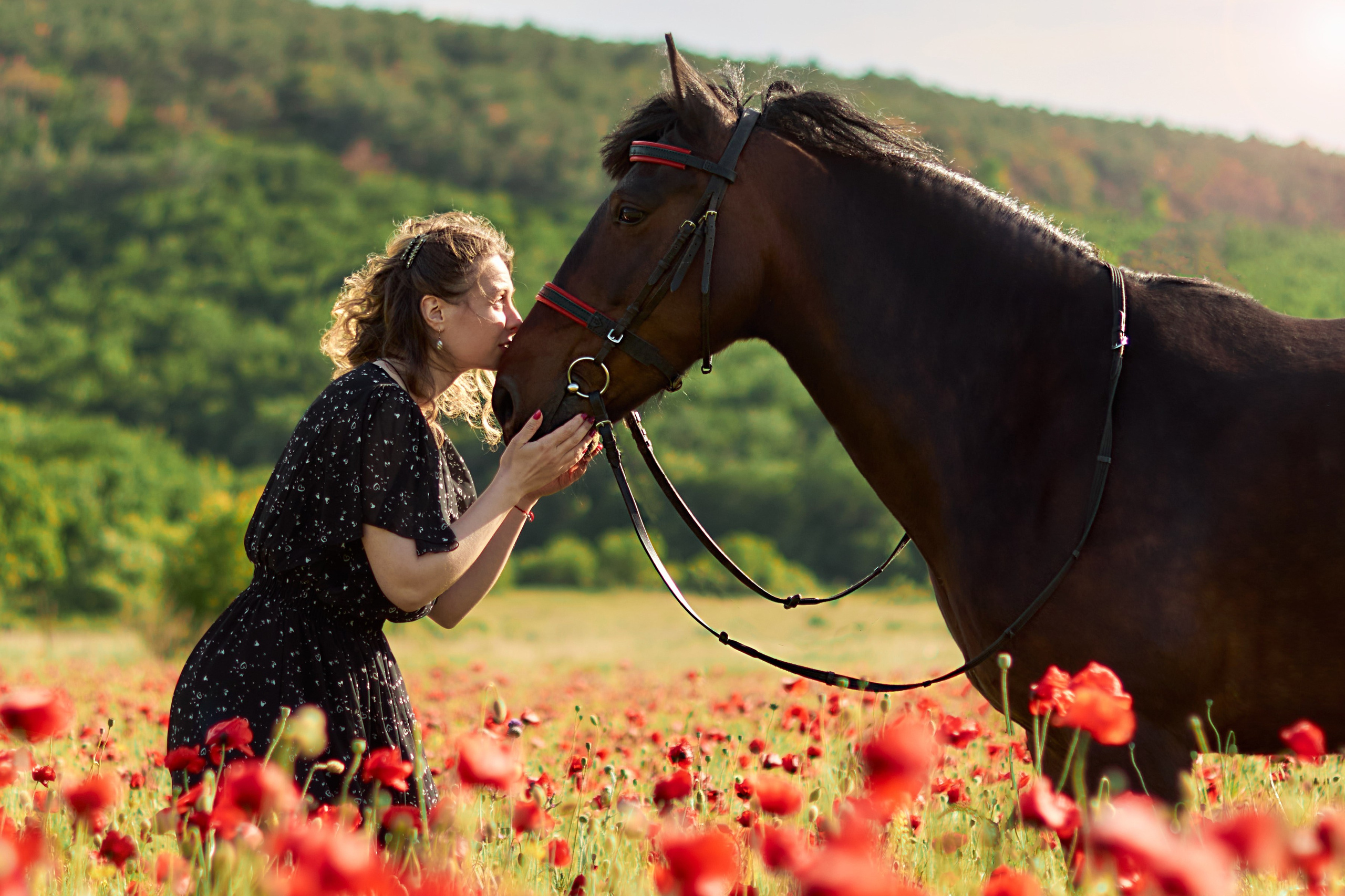 Фотосессия с лошадью Севастополь. Фотограф в Севастополе