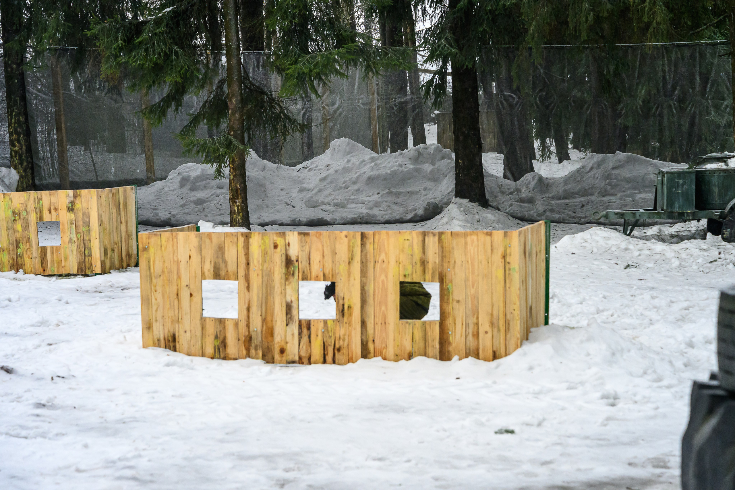Зимняя спартакиада УД. Фотоуслуги, услуги фотографа, фотографирование важных событий