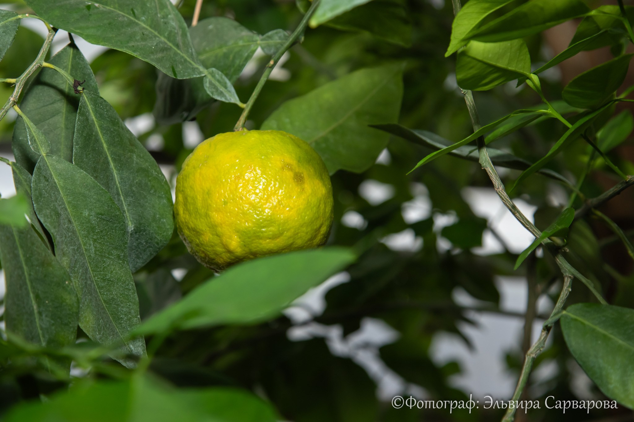 Экскурсия из Бирска для родственников участников СВО. Репортажный Фотограф