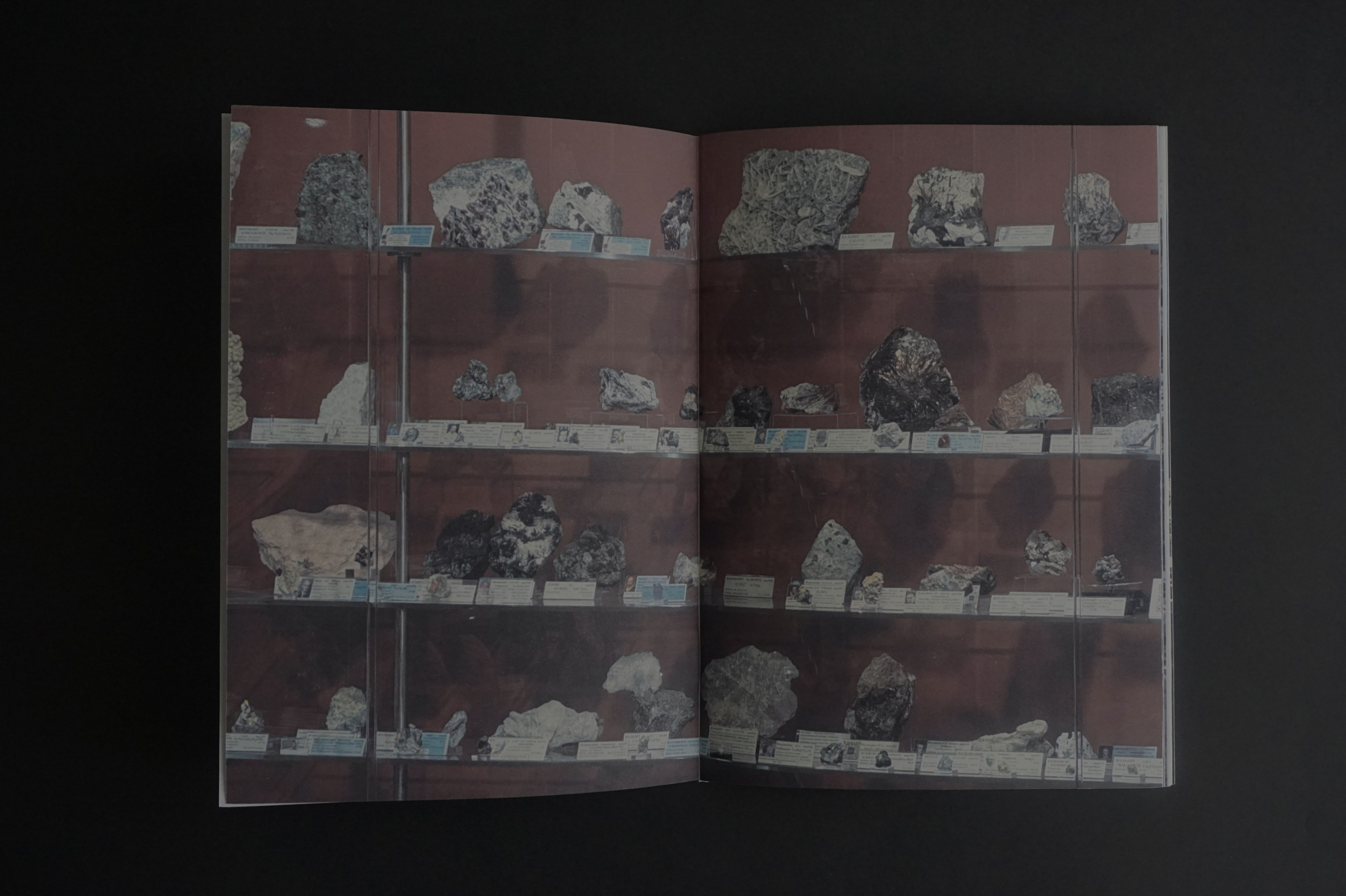 Overview. Anastasia Maryasova