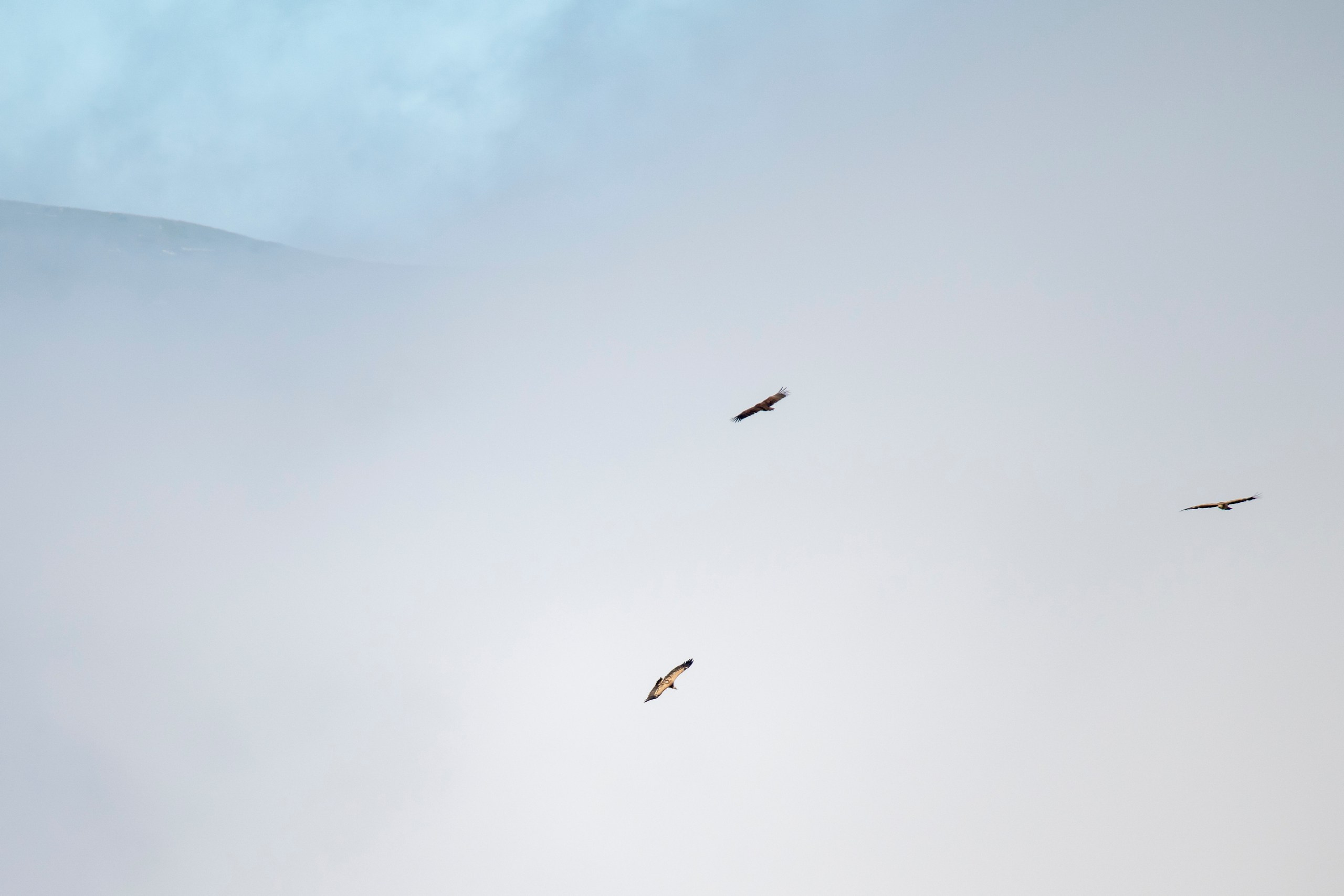 Природа Дагестана, сентябрь 2024. Foto-Zuev фотография как искусство