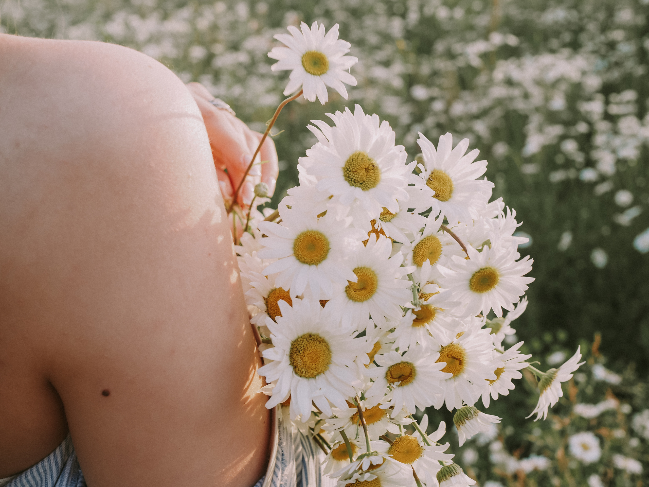 Зара. Фотограф Смоленск Дина Петровская