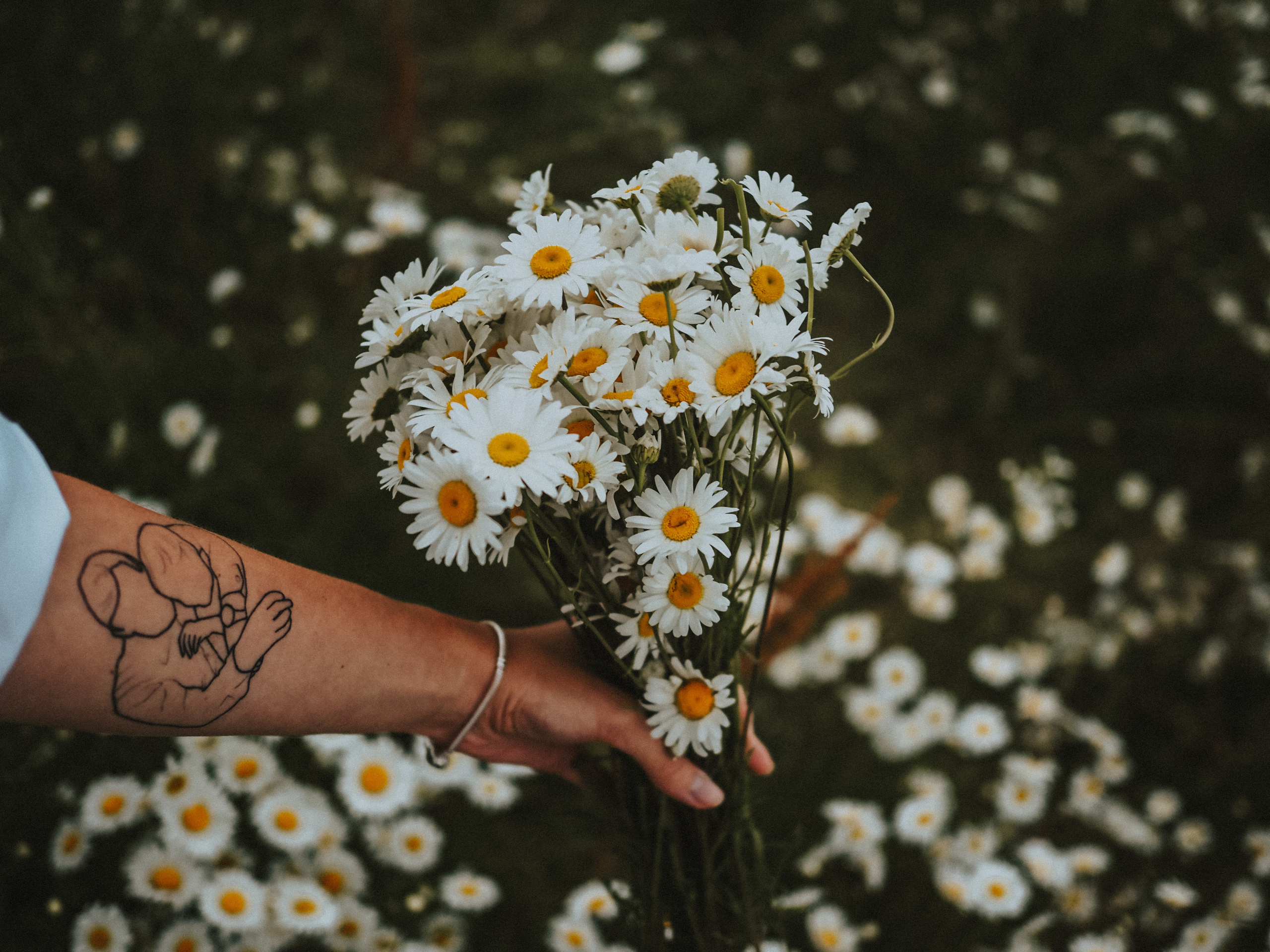 Ева. Фотограф Смоленск Дина Петровская