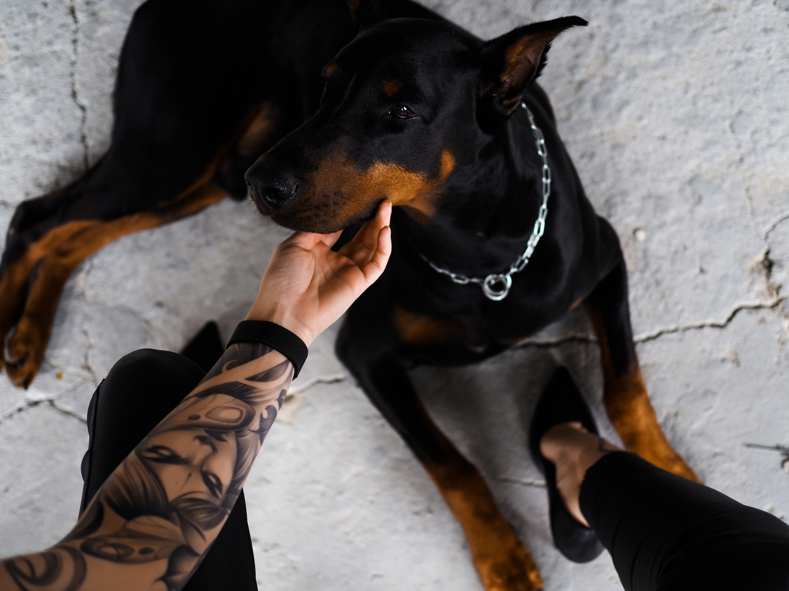 Аня. Фотограф Смоленск Дина Петровская