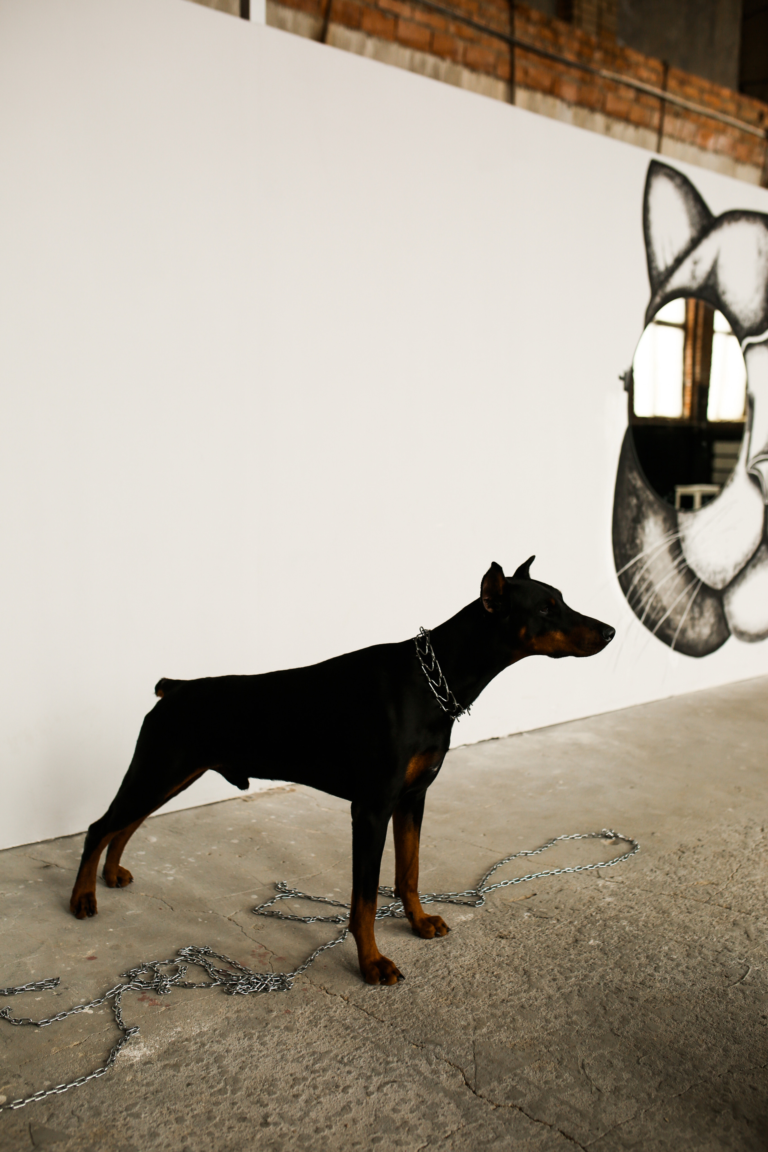 С Доберманом. Фотограф Смоленск Дина Петровская