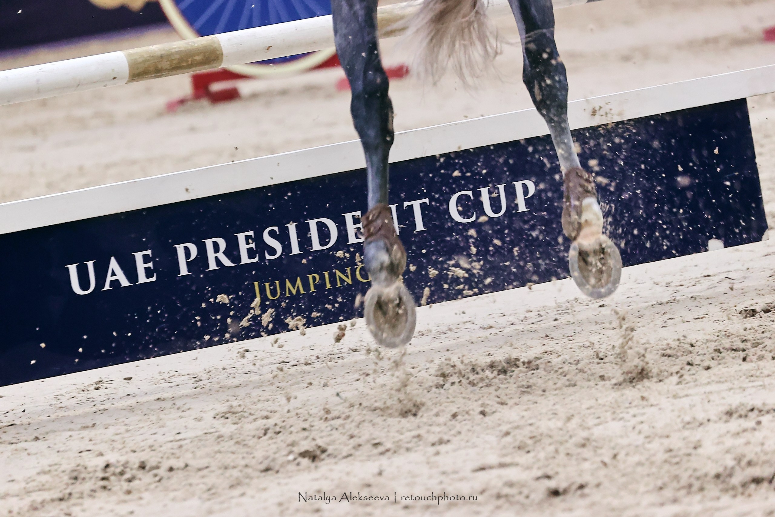 Кубок Президента ОАЭ по конкуру, Maxima Stables | 11'2023. Репортажный фотограф и ретушер в Москве Наталья Алексеева