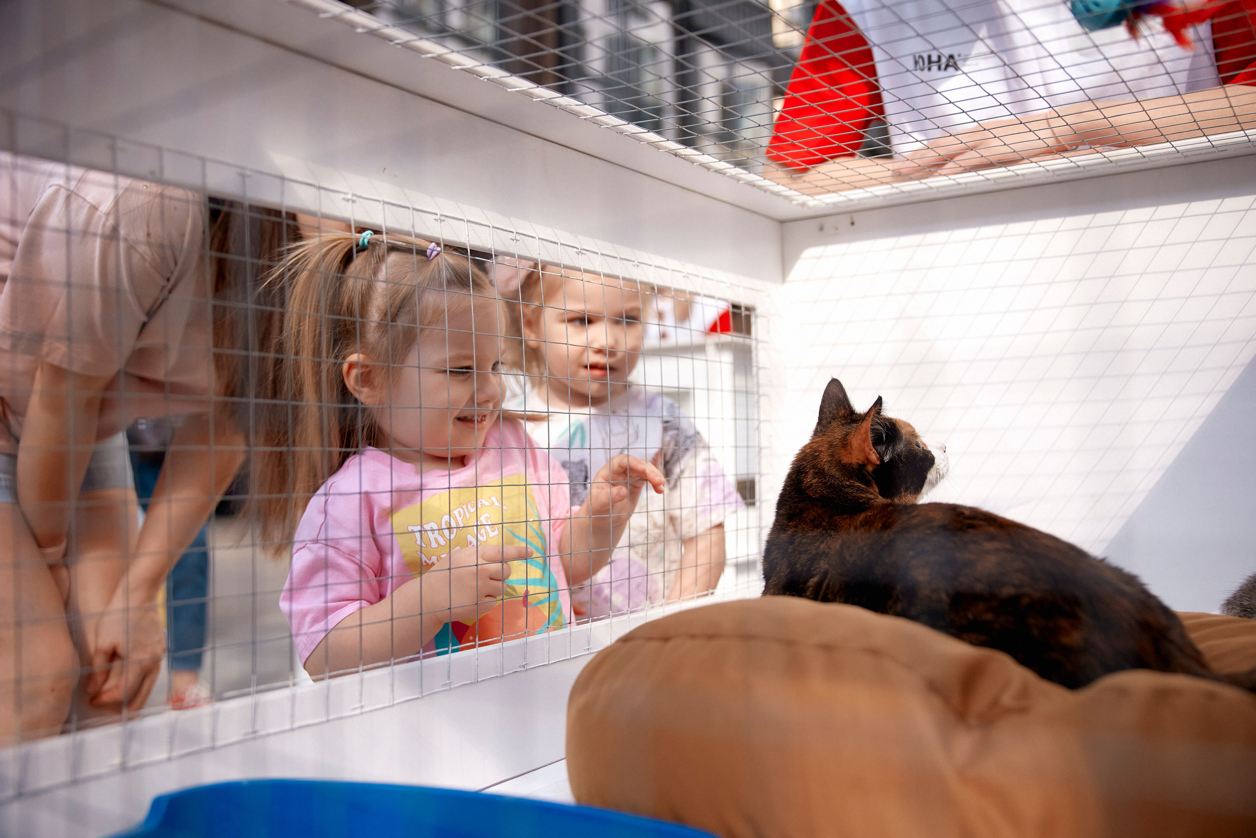 Ilove • Кортрос • Юна. Cheeelsa.ru