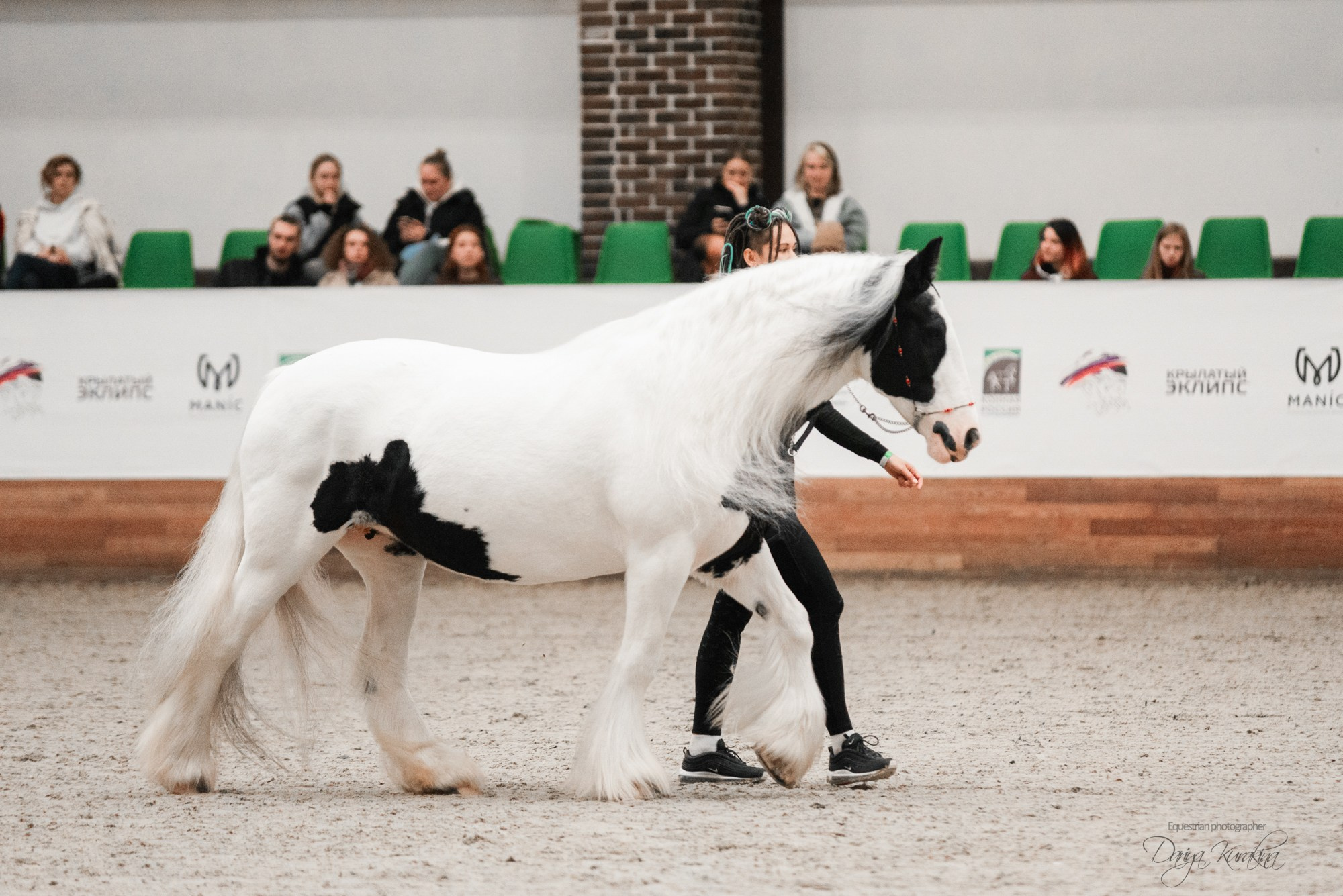 8-я международная выставка Конная Россия. Конный фотограф Куракина Дарья • Фотосессии с лошадьми