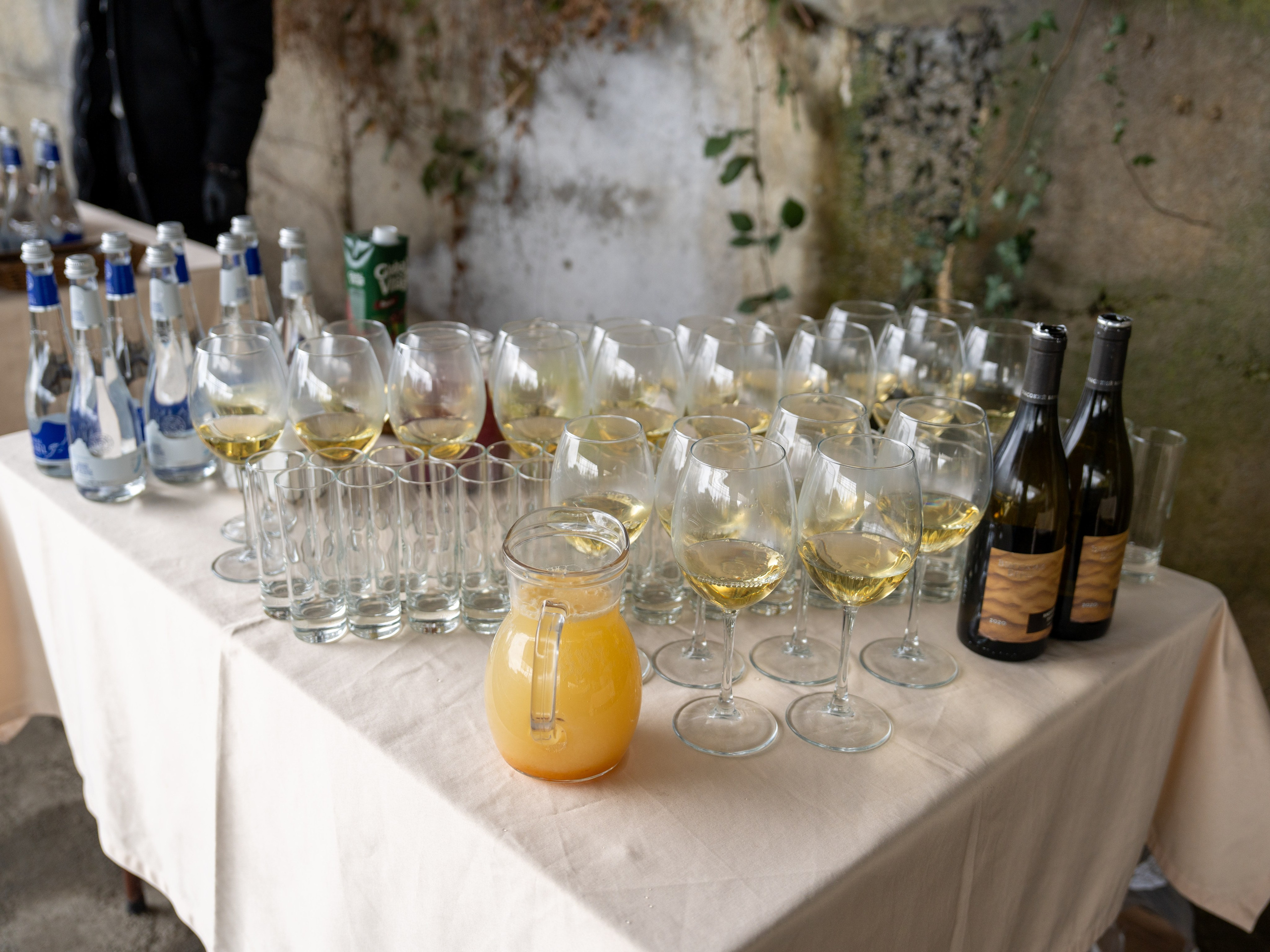 MICE мероприятие на ферме Экзархо. Репортажный фотограф в Красной Поляне и Сочи Павлюченко Екатерина