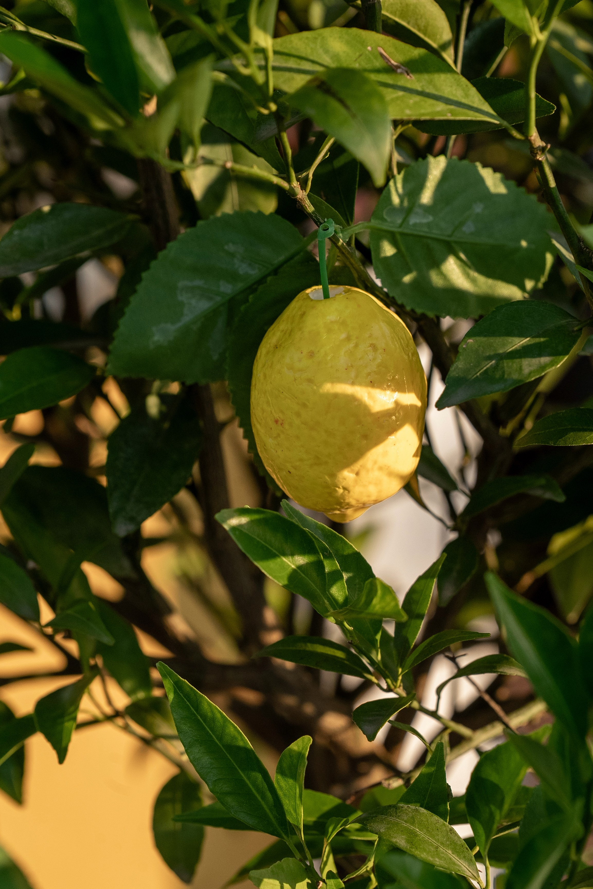 Норникель 90 лет празднование Дня Рождения в санатории Заполярье. Репортажный фотограф в Красной Поляне и Сочи Павлюченко Екатерина