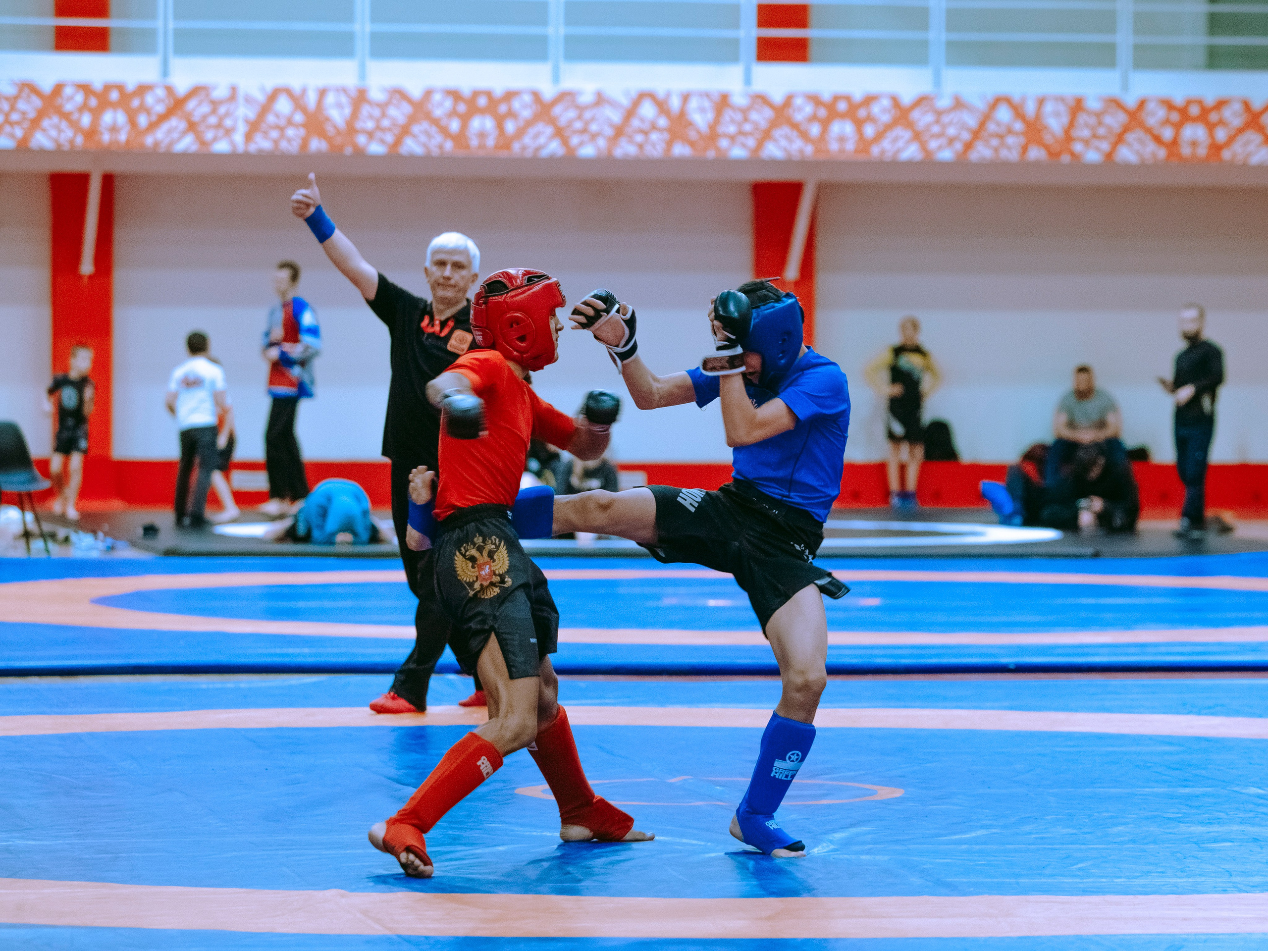 Кубок России по спортивной борьбе панкратион `23. Портретный фотограф в Москве Дарья Цезария