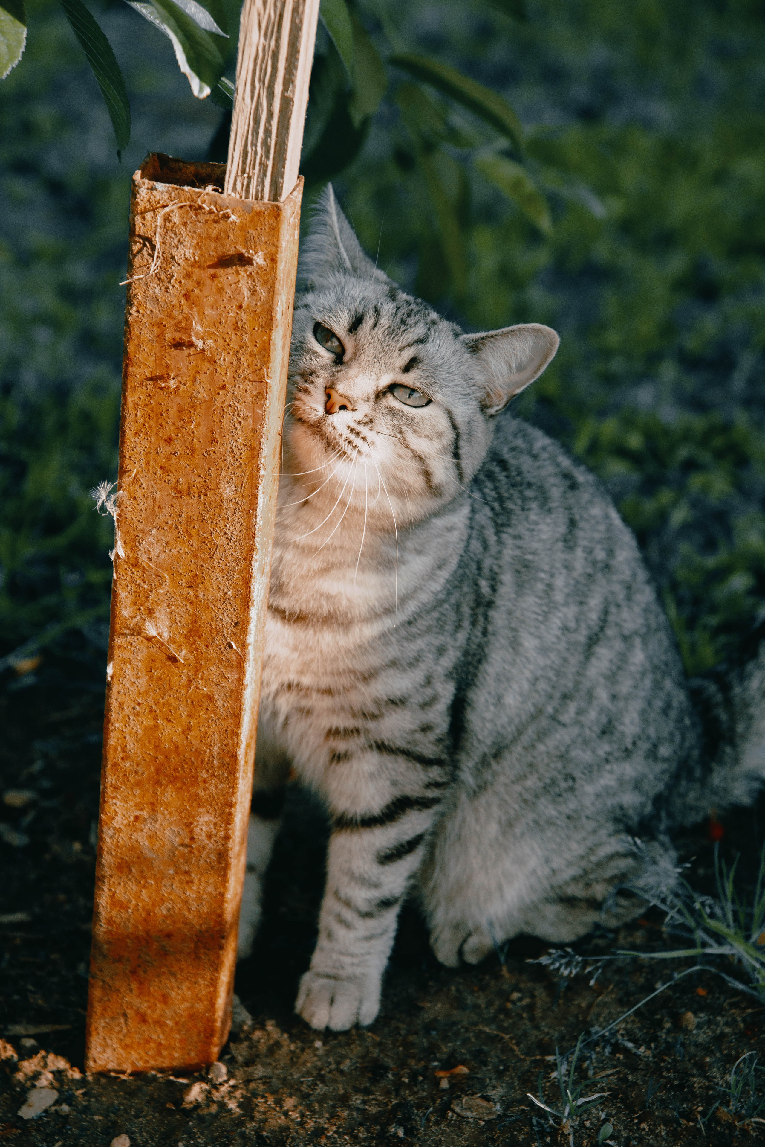 Valeri & Girls <3. Фотограф в Москве Светлана Некрасова